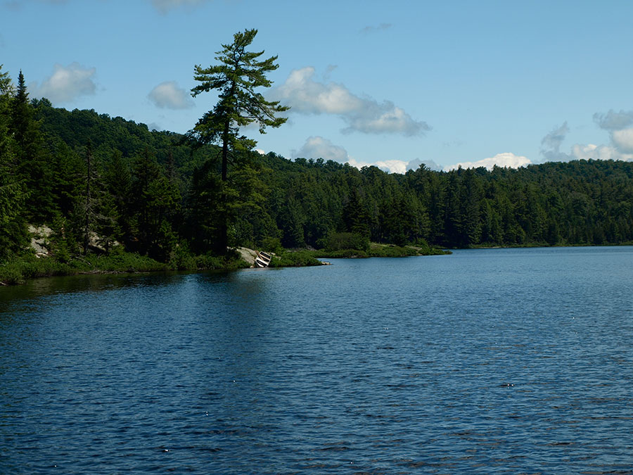 Sprague Pond