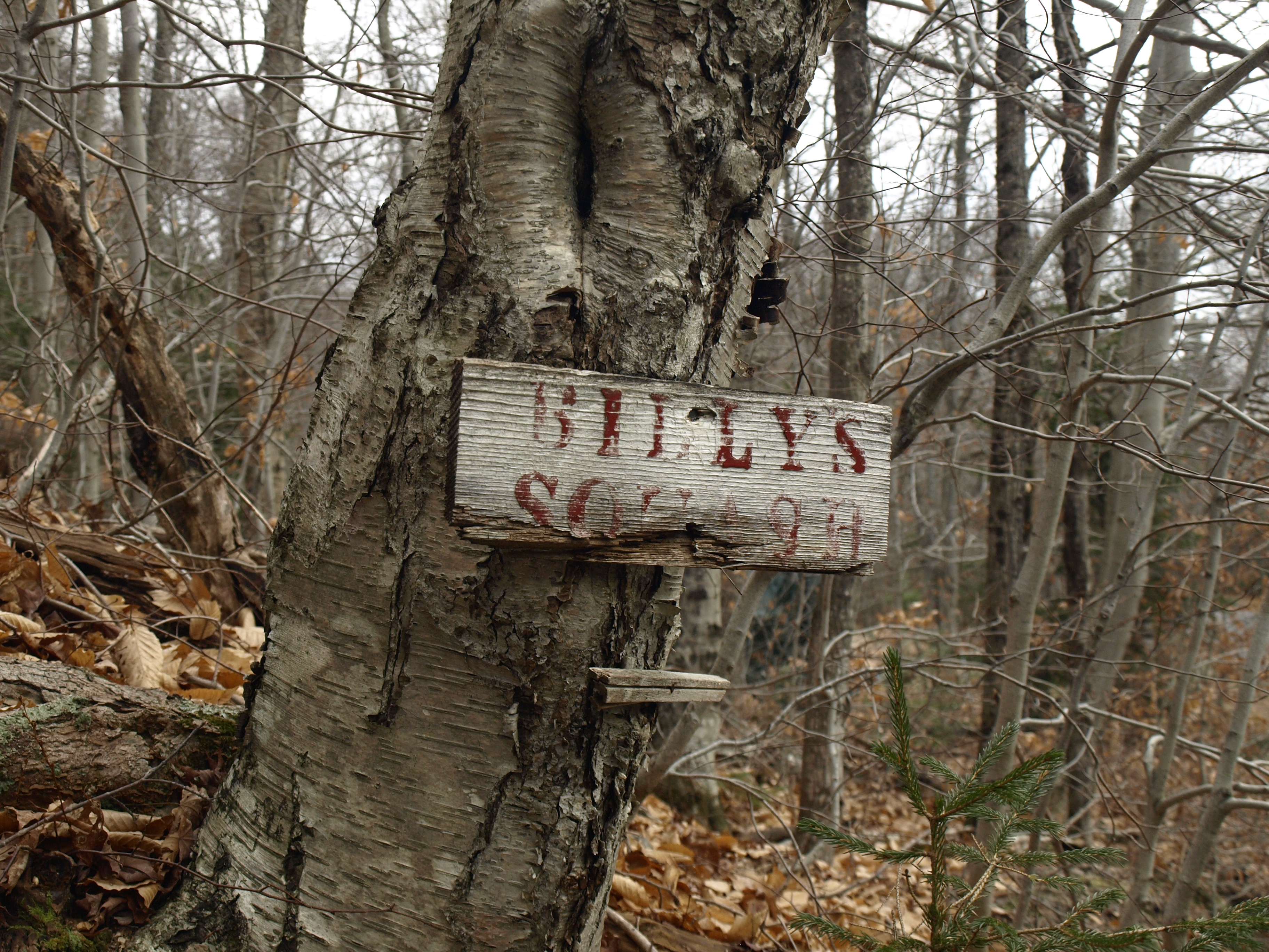Sign