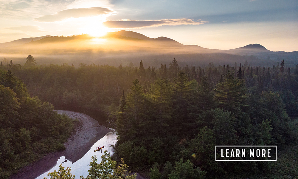 Paddling at dawn in the wilderness.