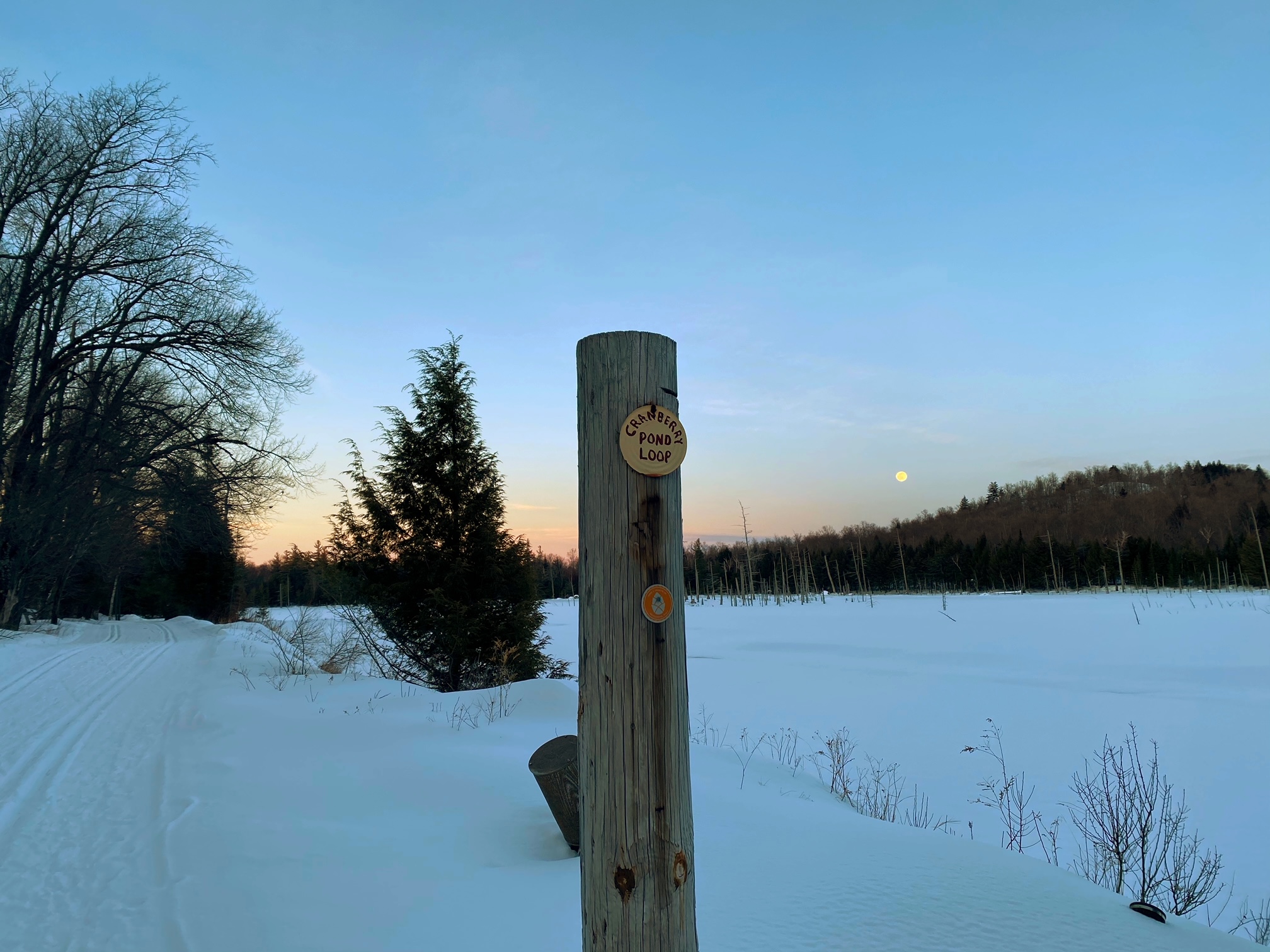 Beautiful views along the Cranberry Pond Trail.