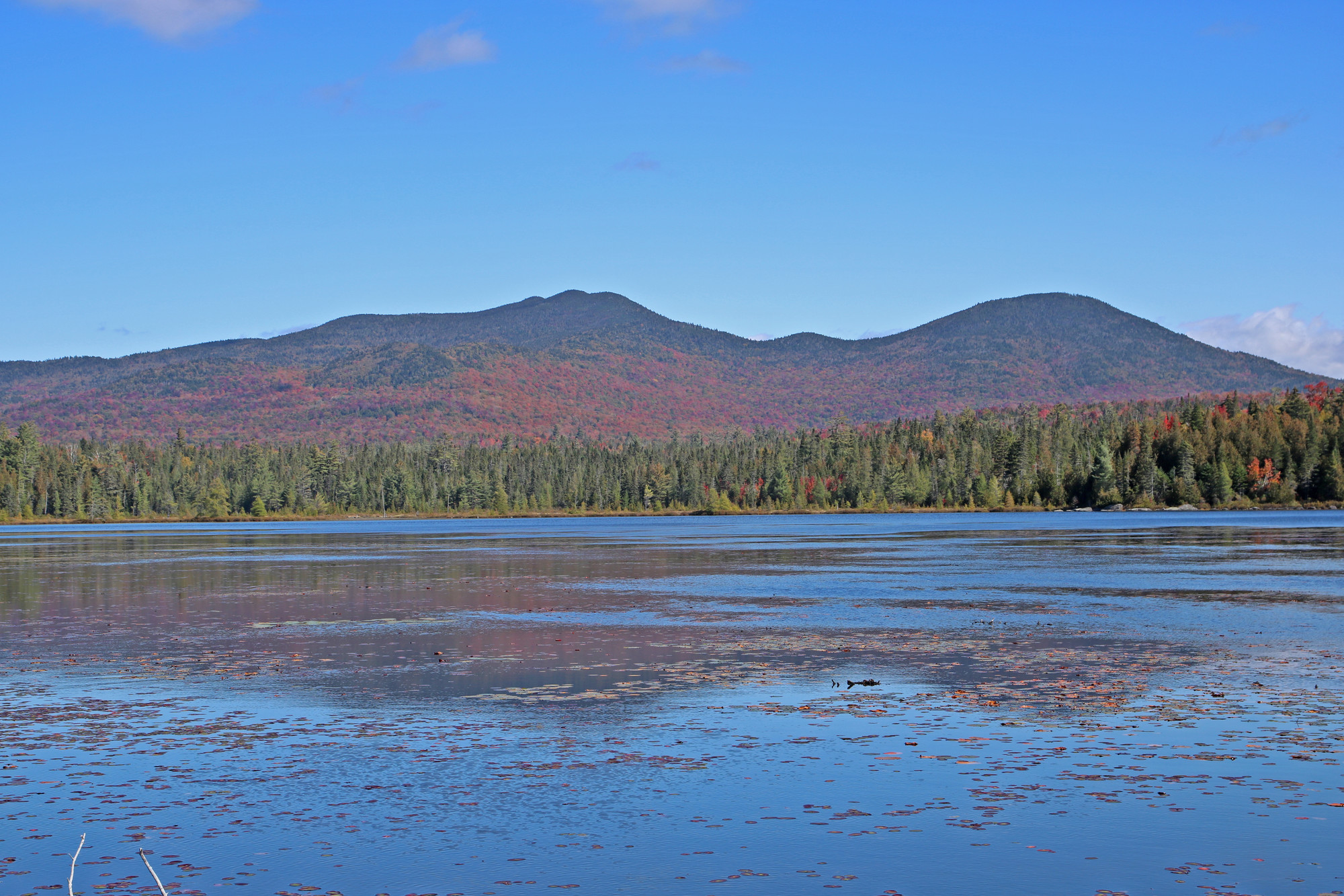 A pond with mountains in the background during fall.