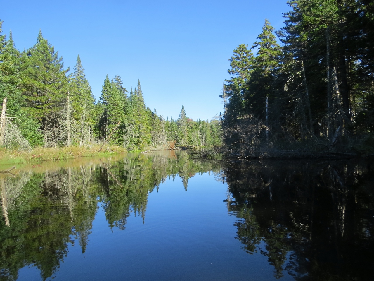 Fishing Brook