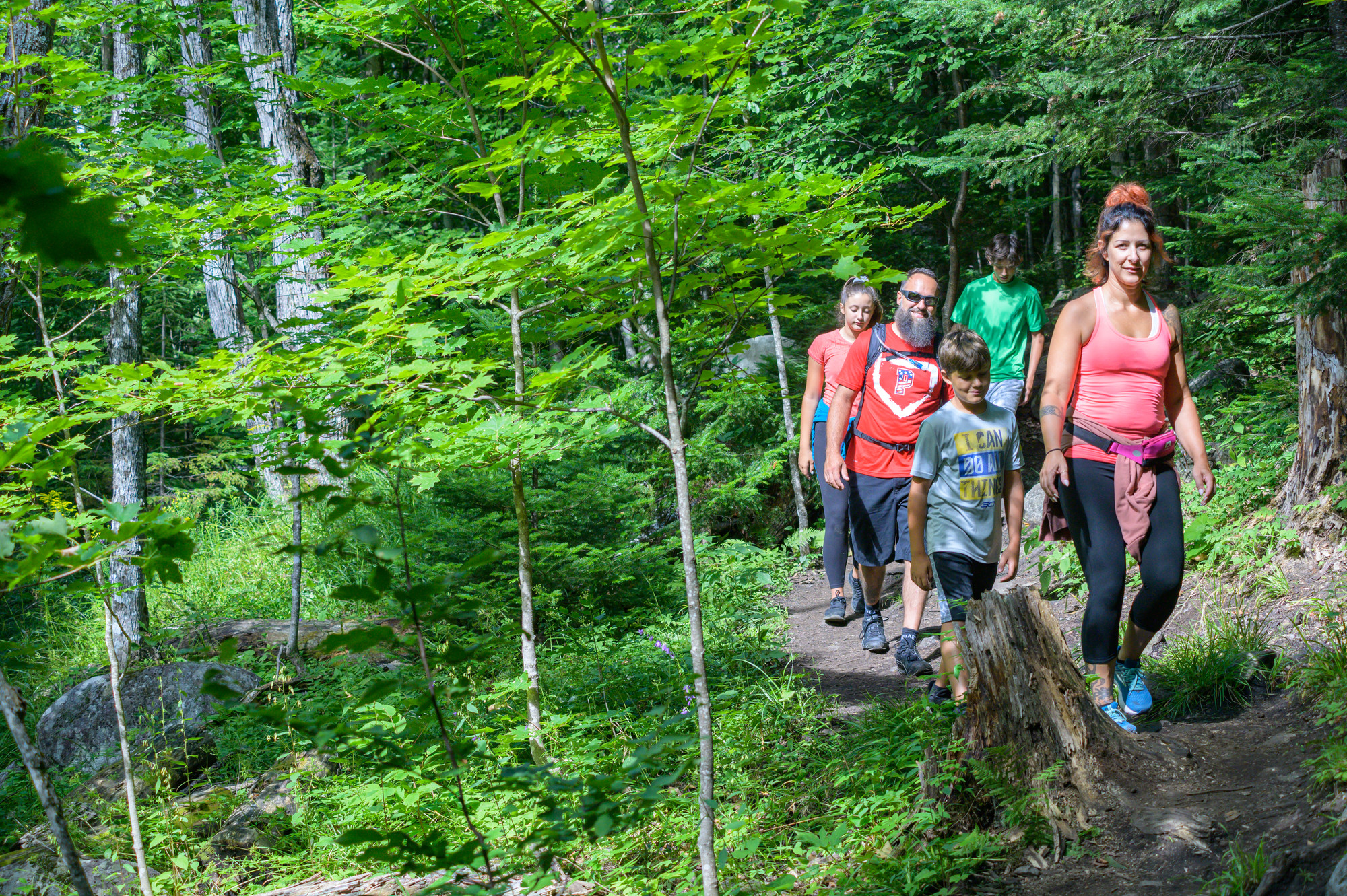 A family hikes through the forest