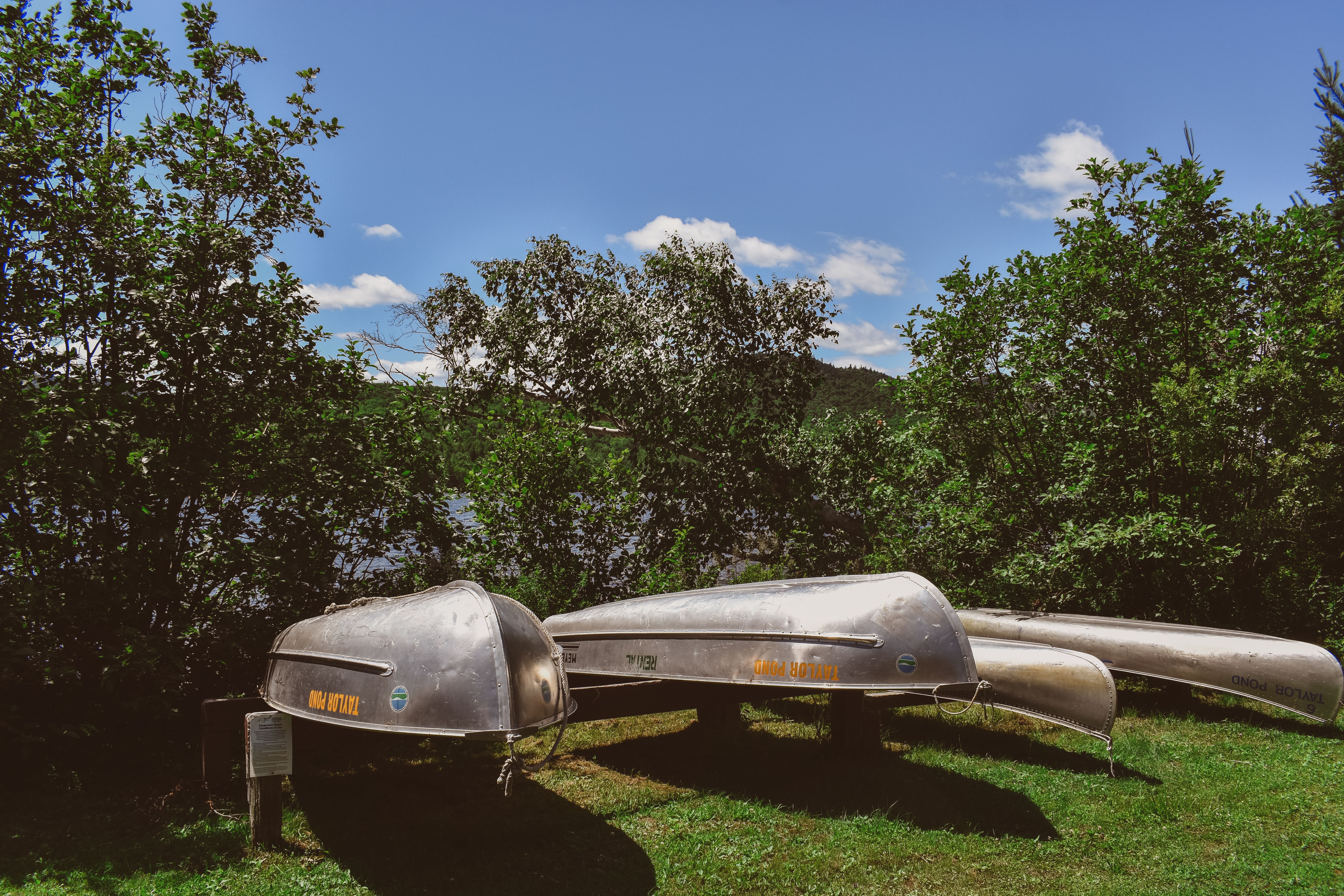 Four metal rental boats on the side of the pond.