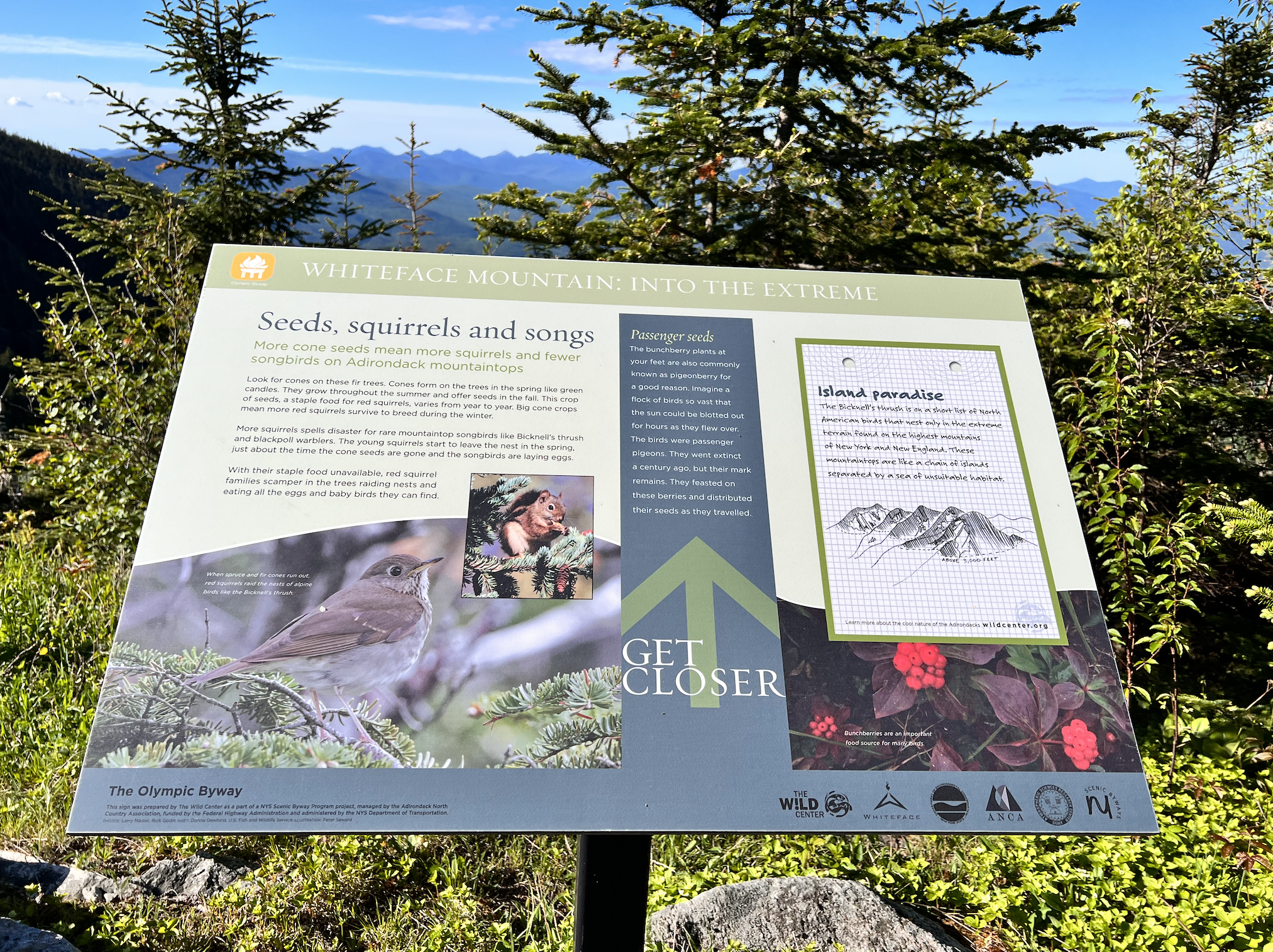 Infographic on Whiteface trail.