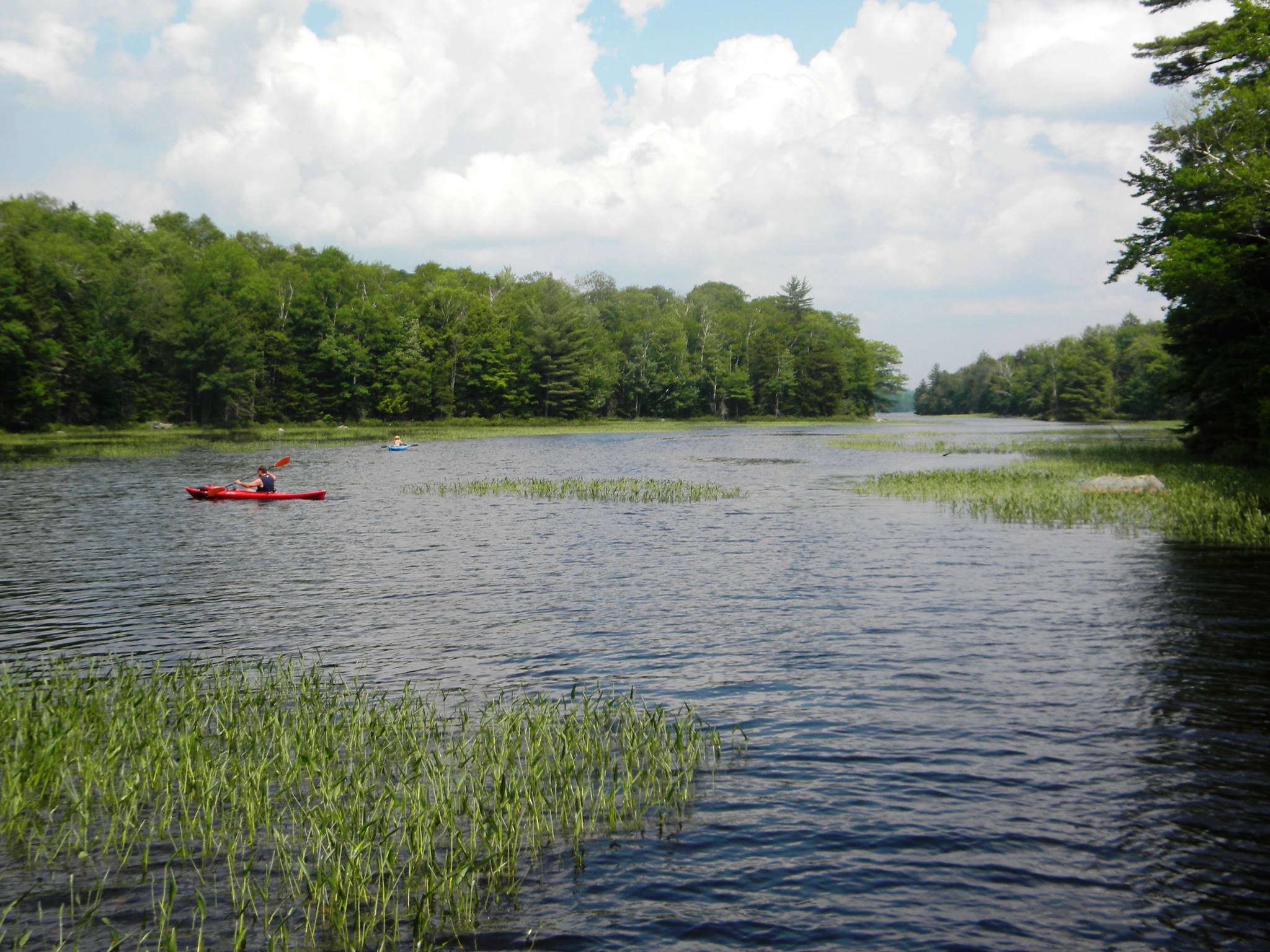 Rock Pond Long Lake