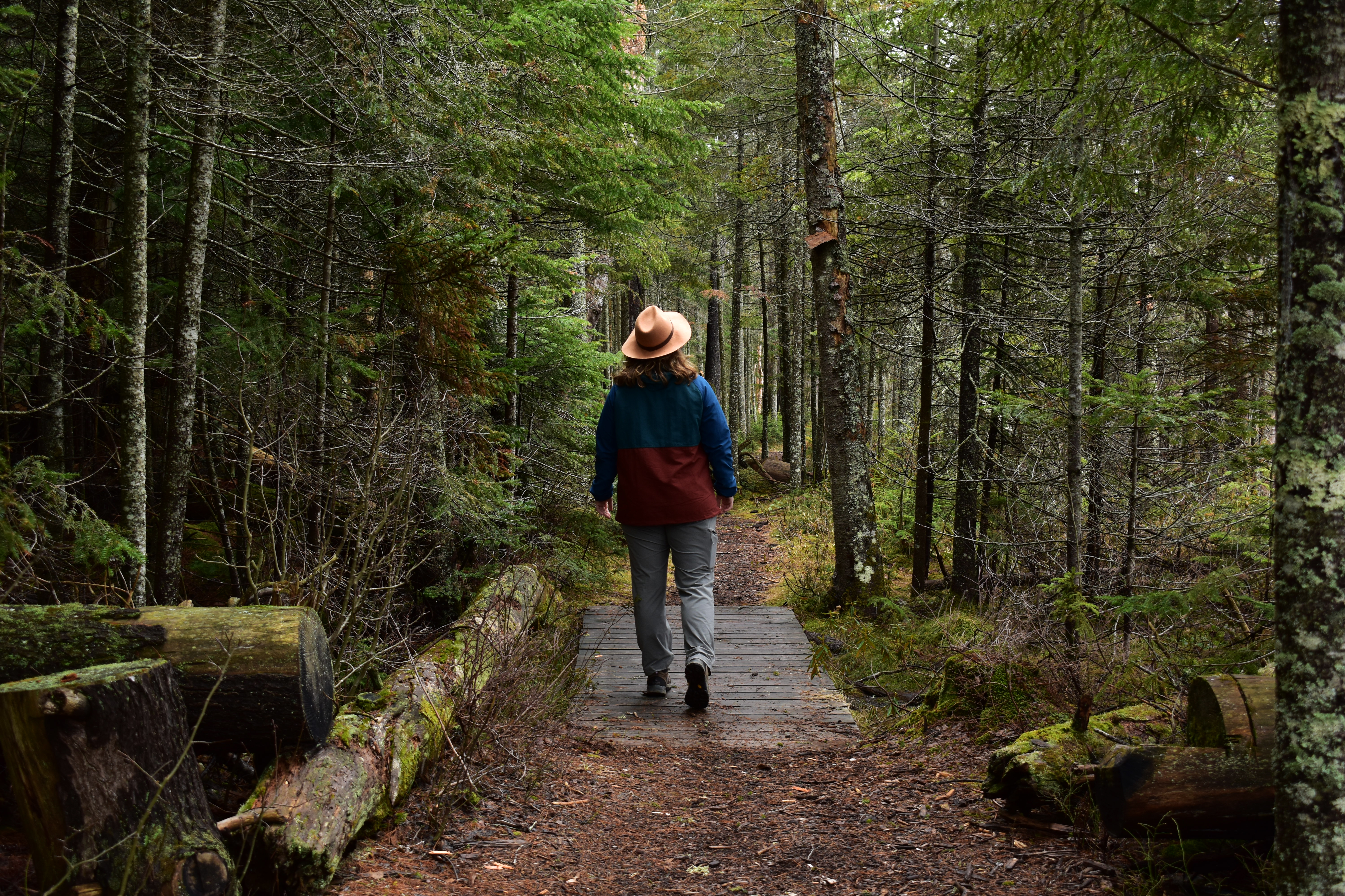 A women with pants, a jacket, and hat hiking over a bridge through a coniferous forest.