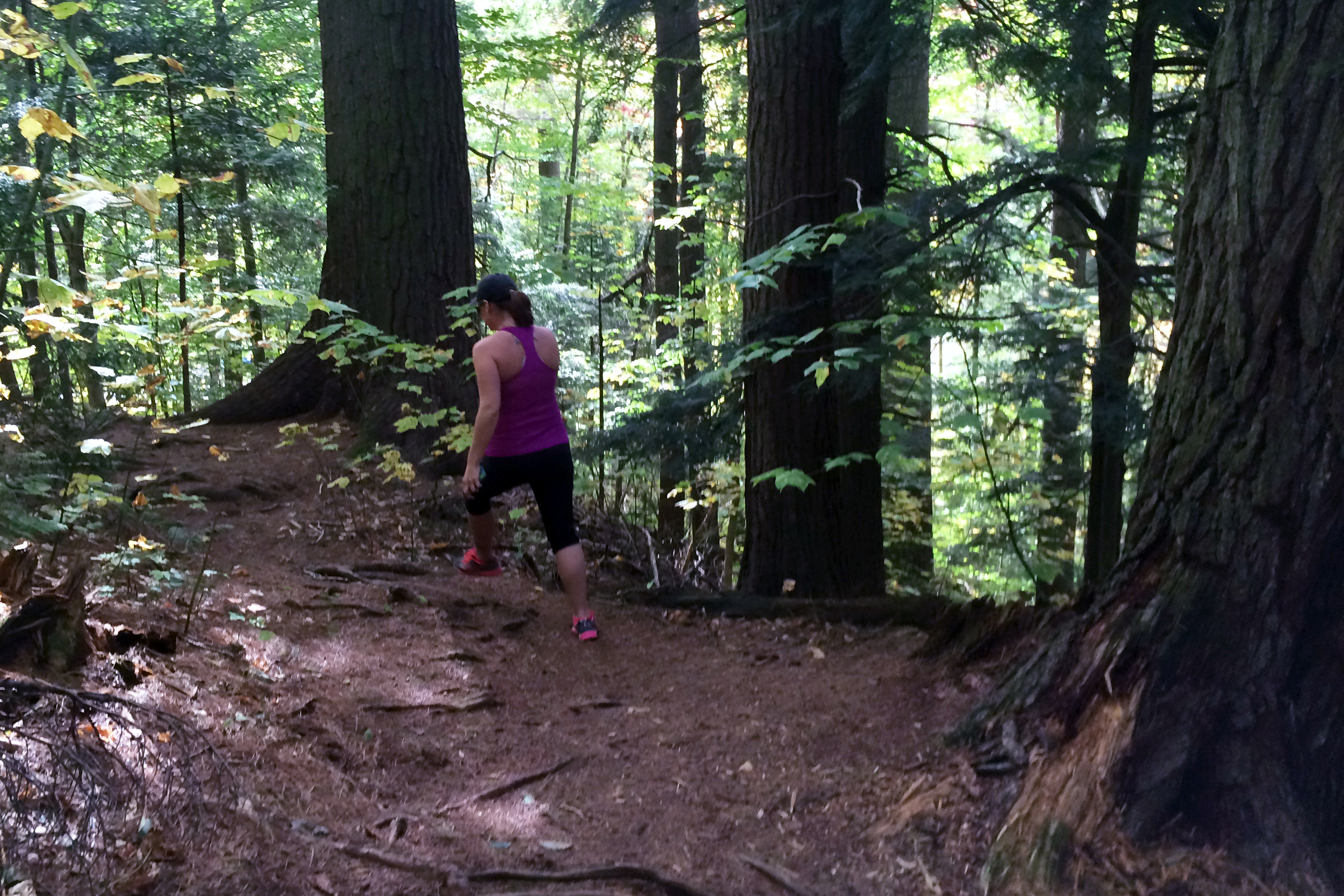 Cathedral Pines Hike - Inlet, NY