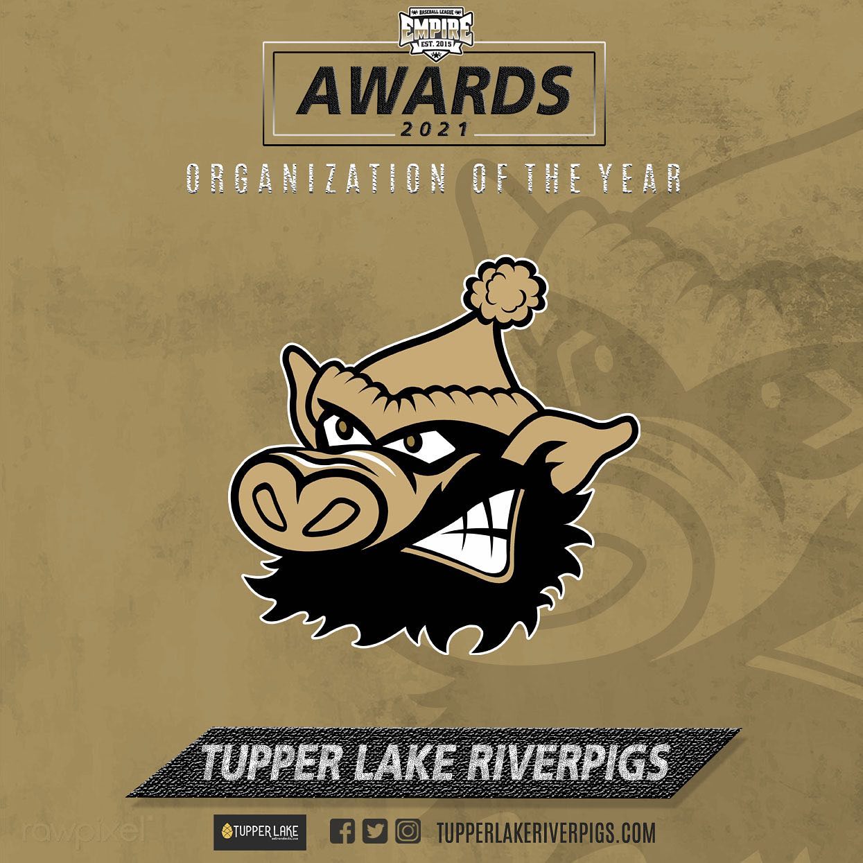 A designed graphic with the River Pigs logo indicating they were Organization of the Year!