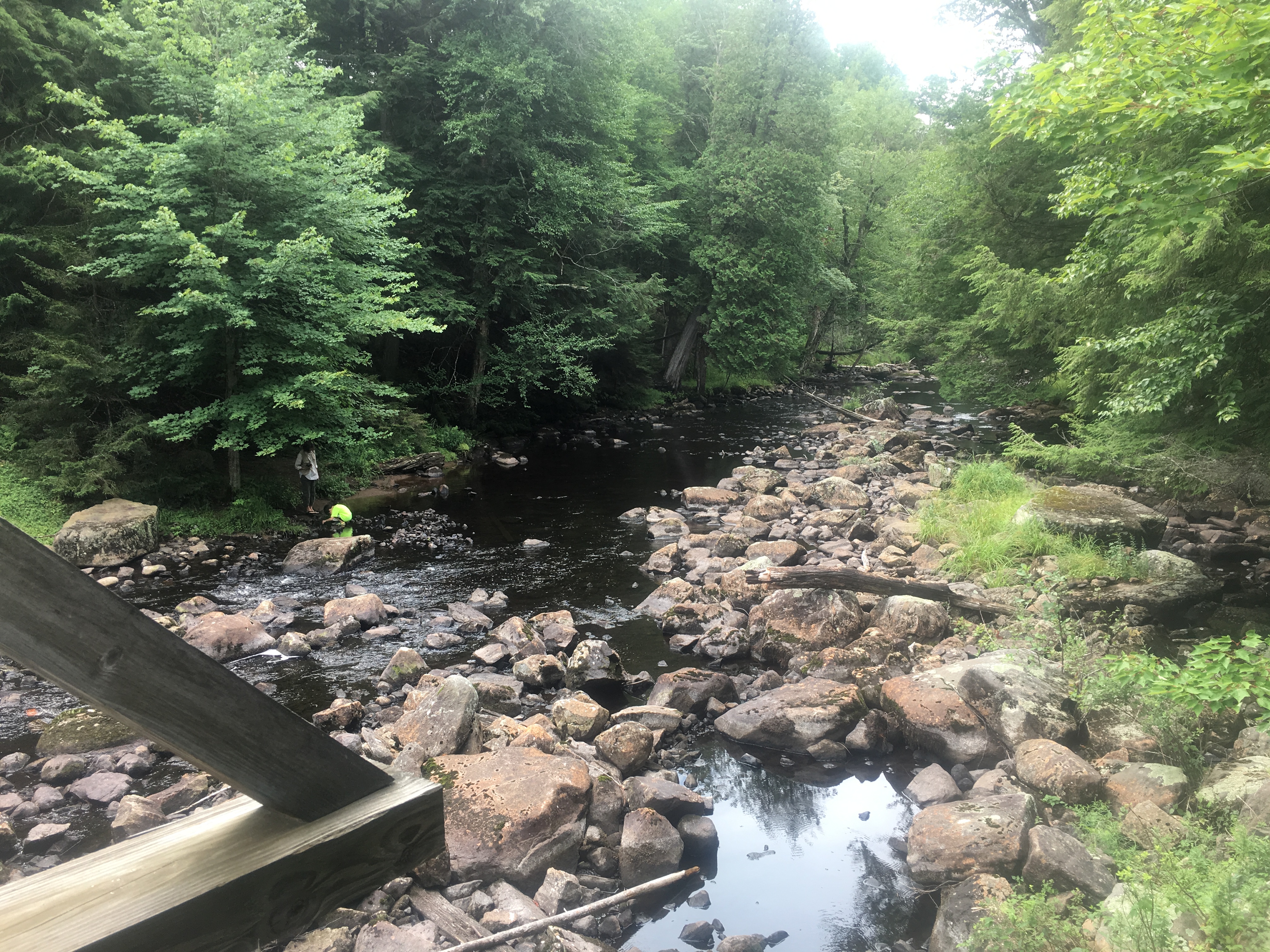 A boy at Sagamore checks out a stream with his grandmother.