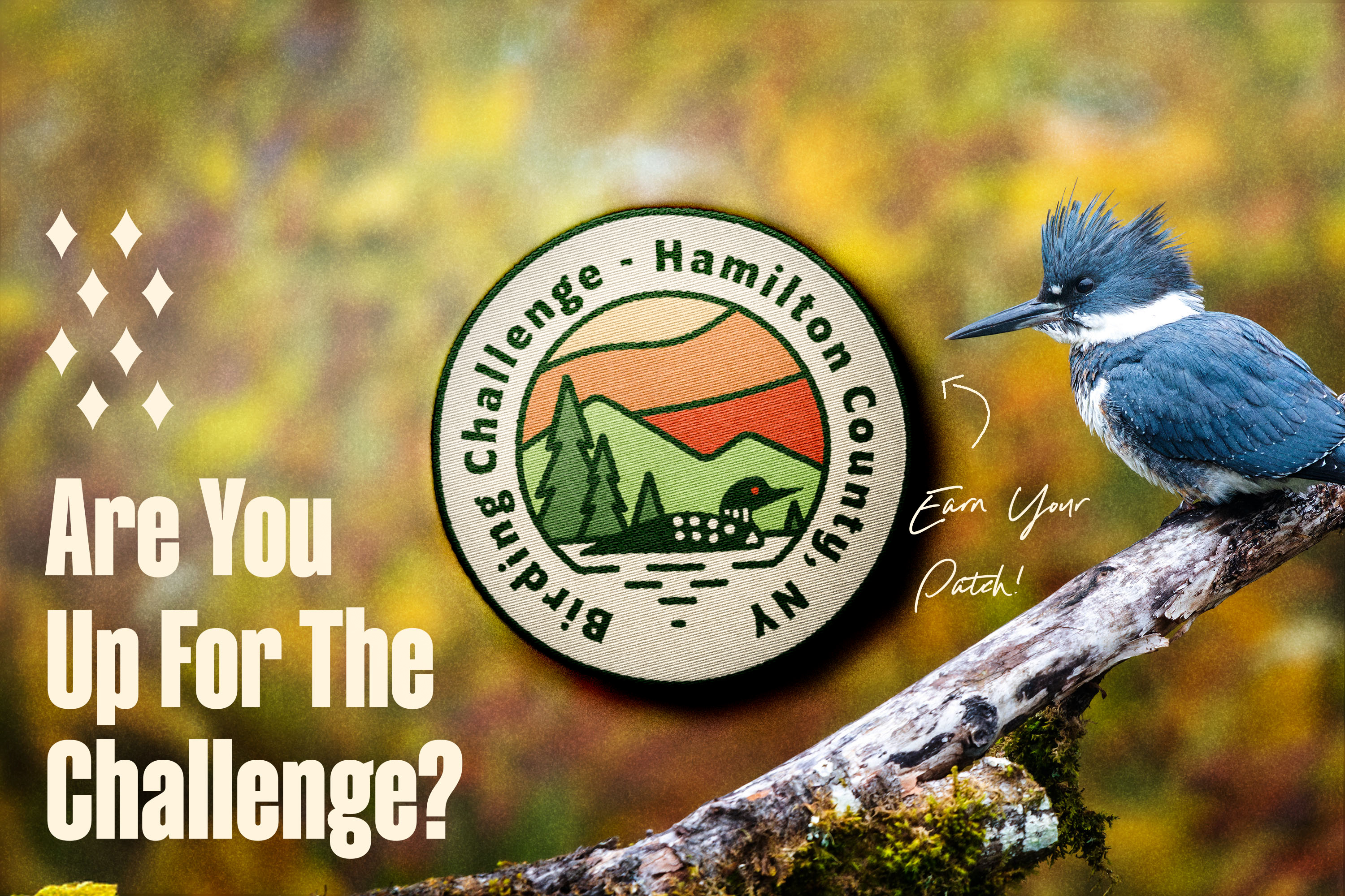 A bird behind a superimposed sticker for a birding challenge