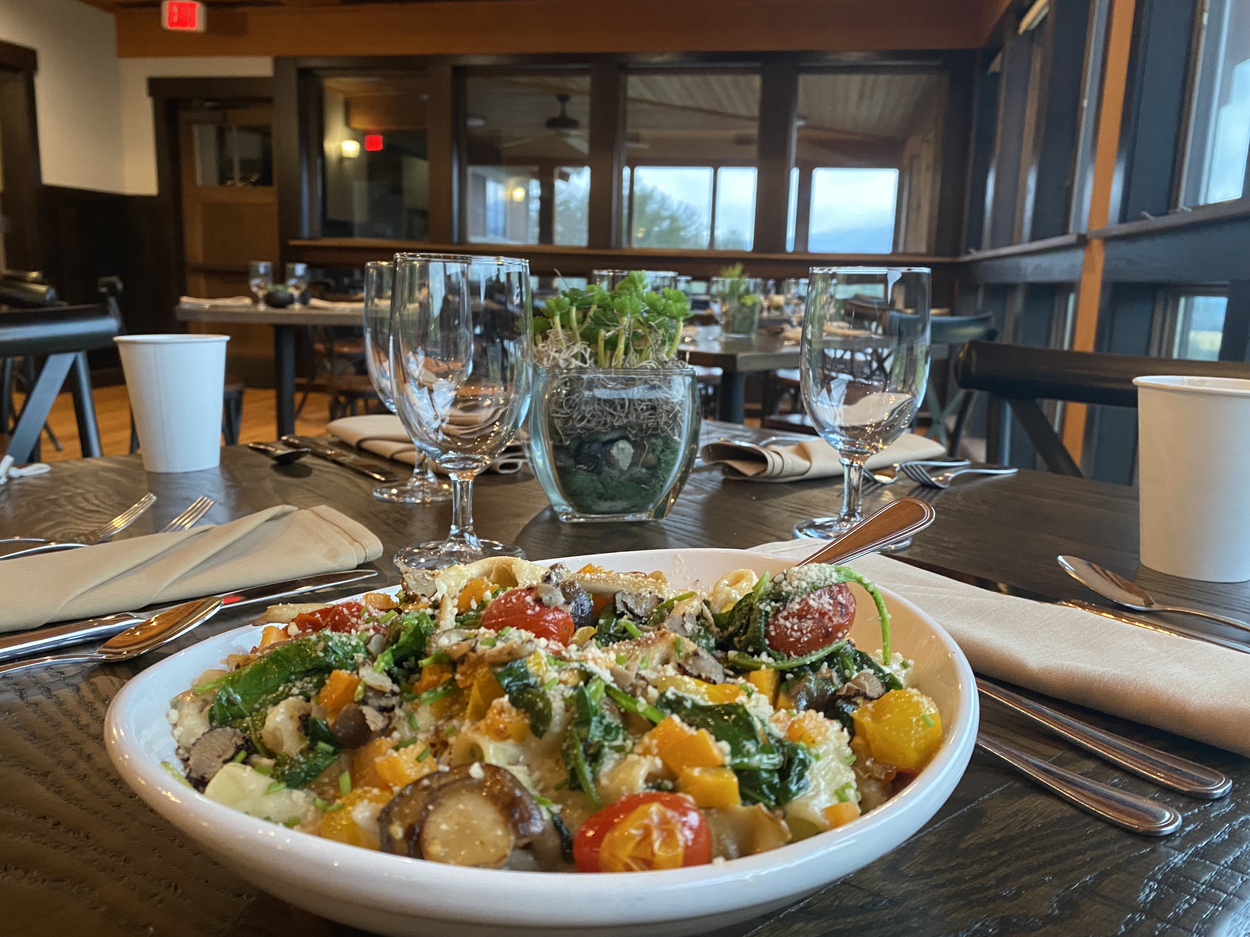 Mushroom Rigatoni on an upscale dining room table