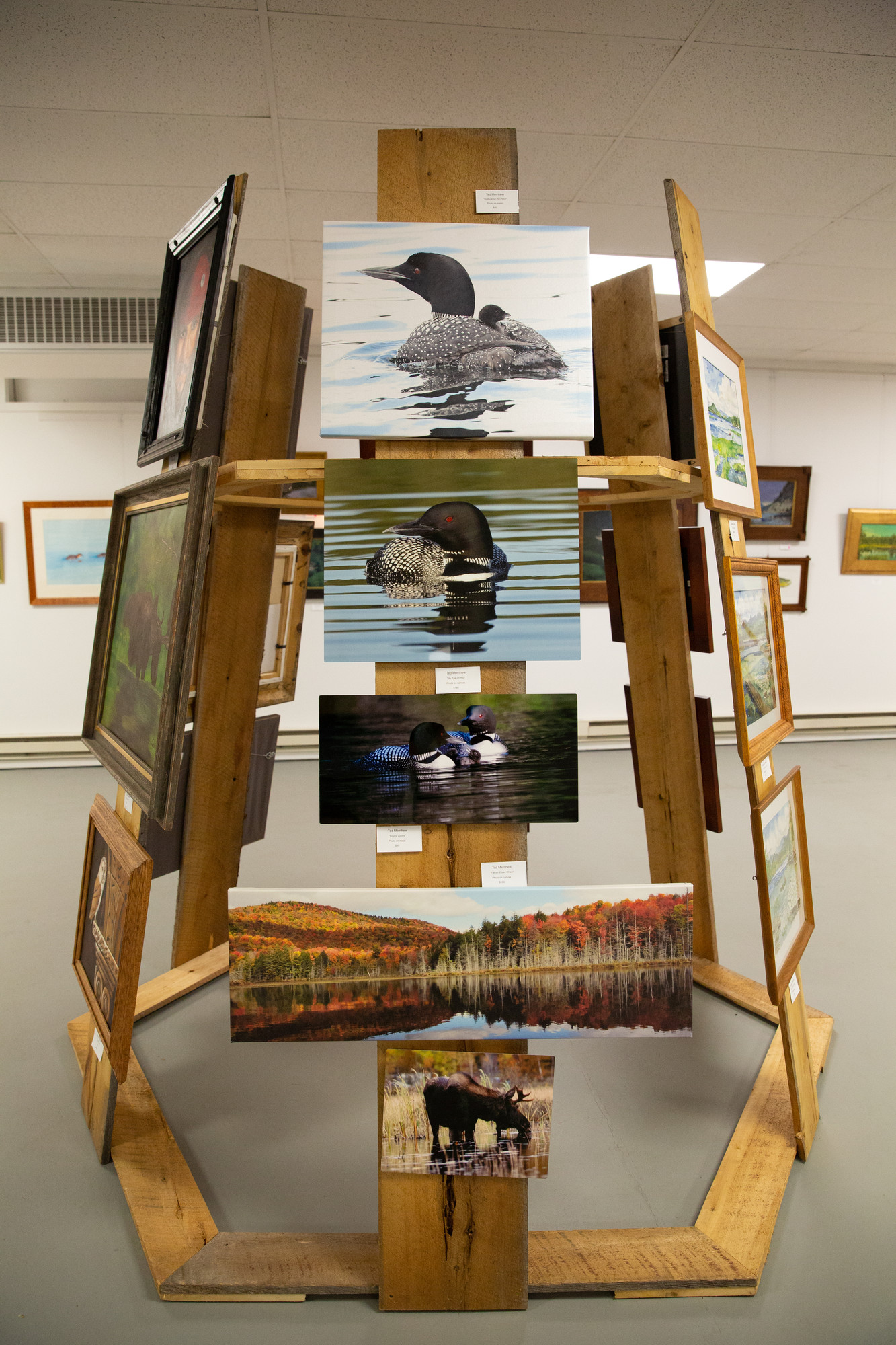 Art display with outdoor themed art.