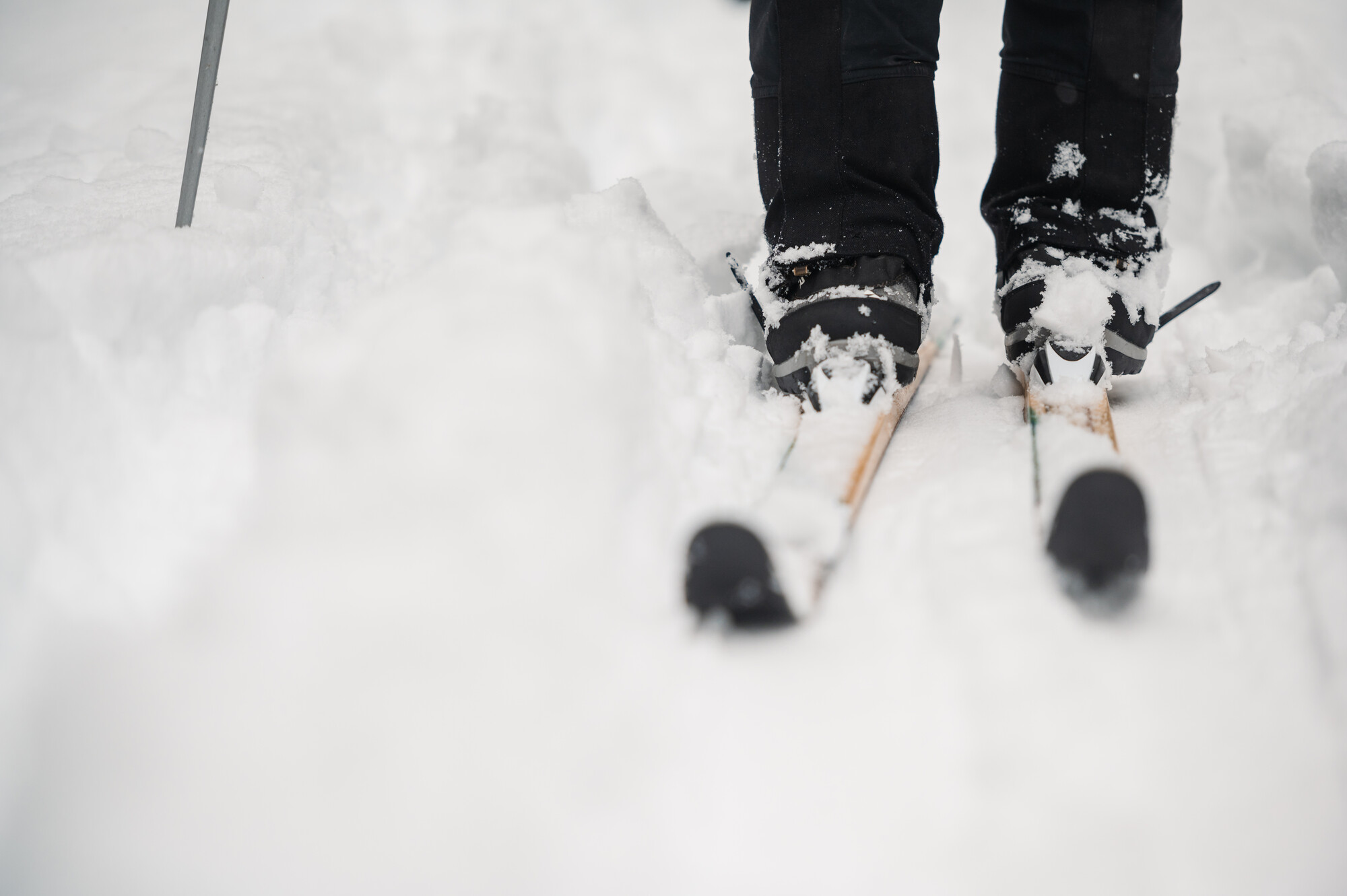 A close-up of someone's skis