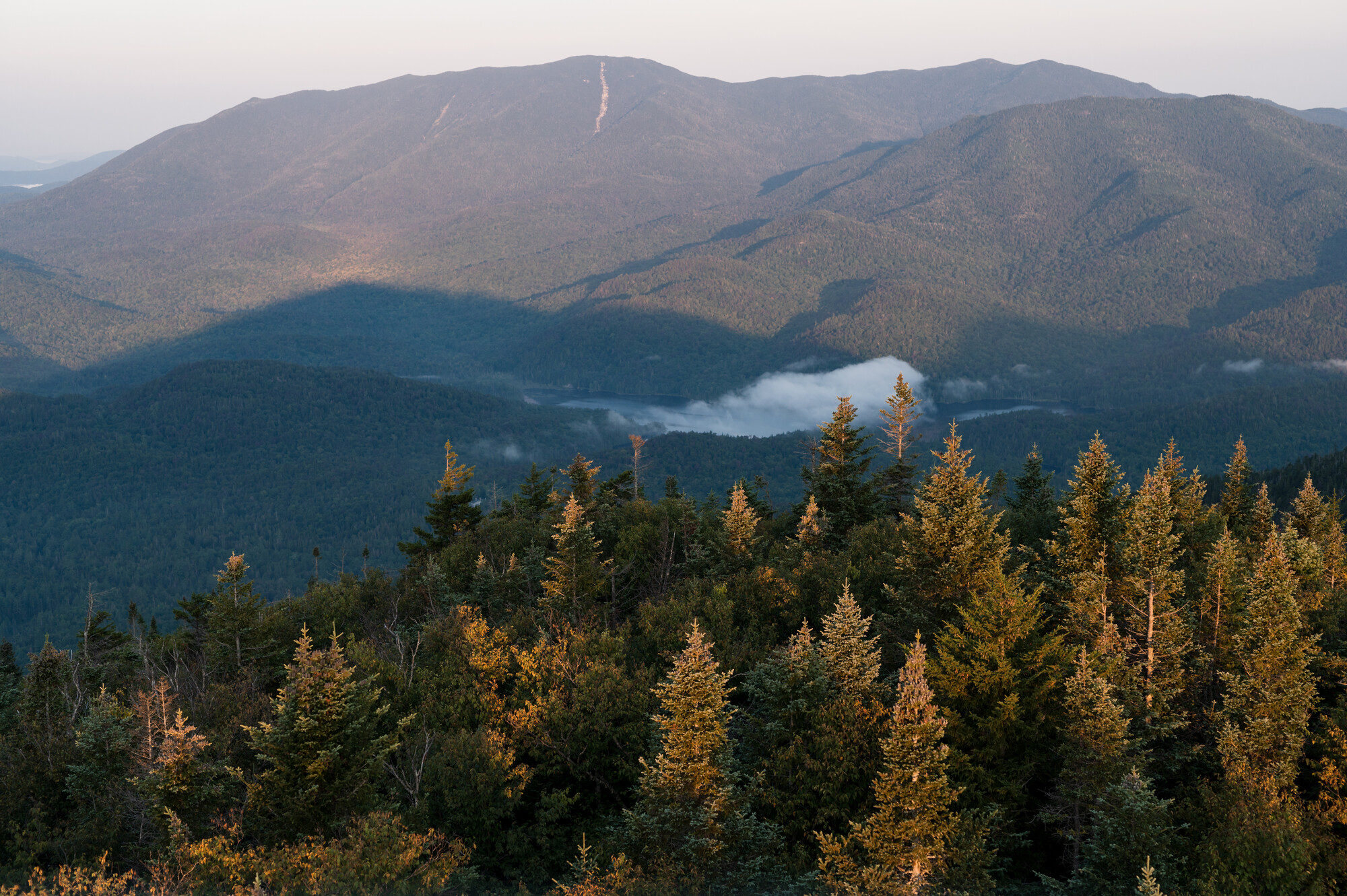 A mountain range with trees in the foreground and a misty sky.
