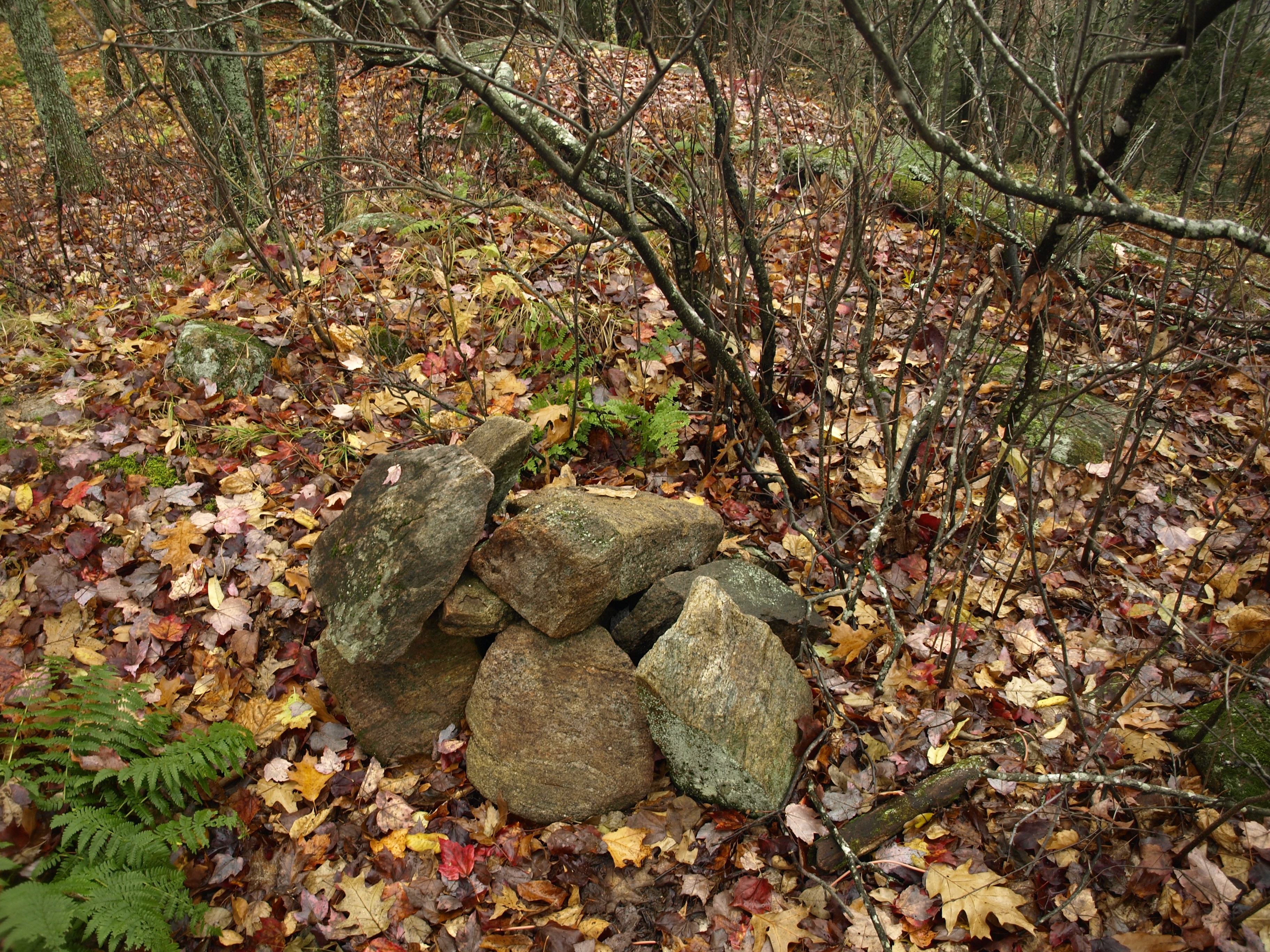 Summit of McGinn