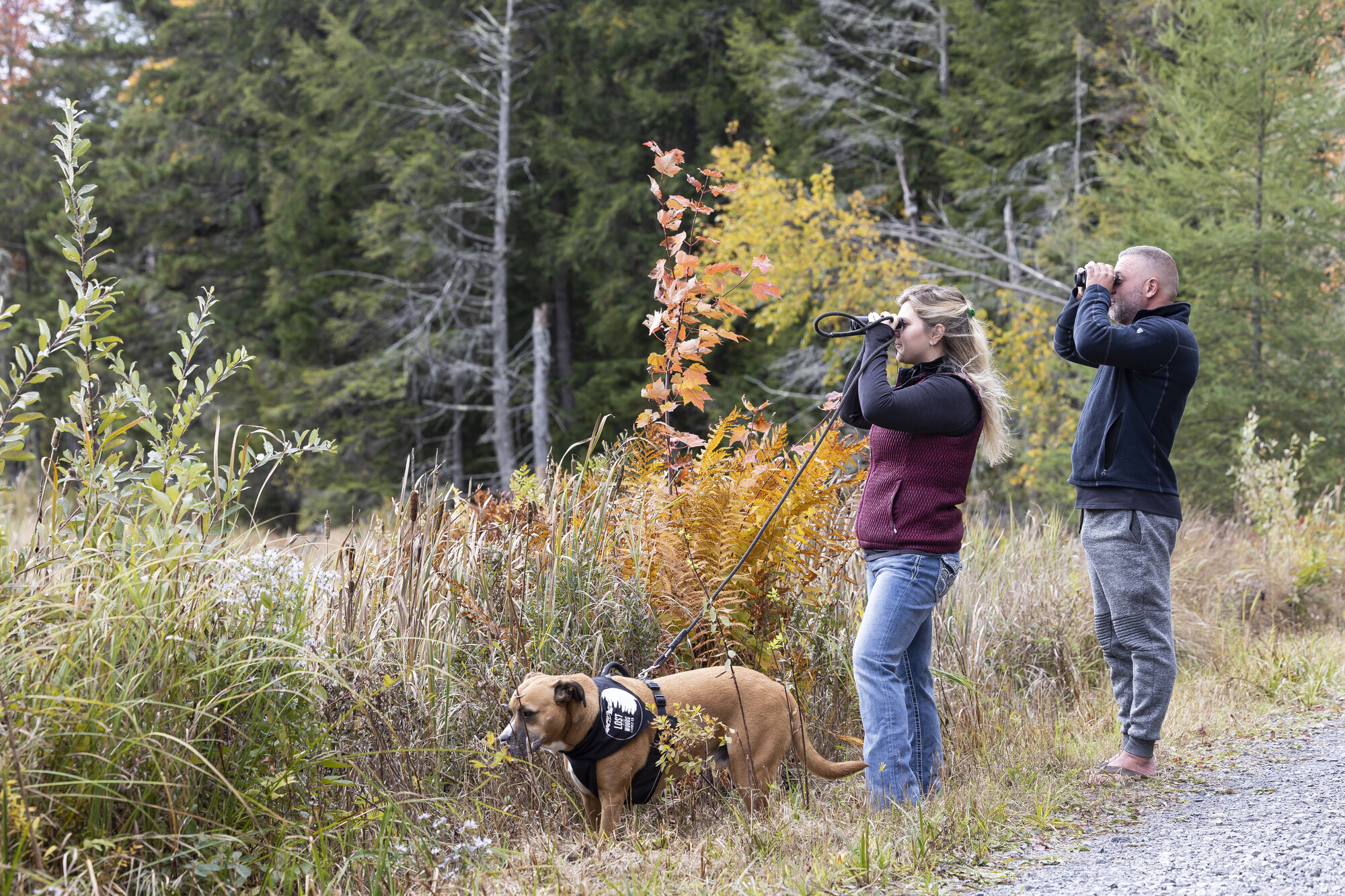 A man and woman go birding with a dog. 