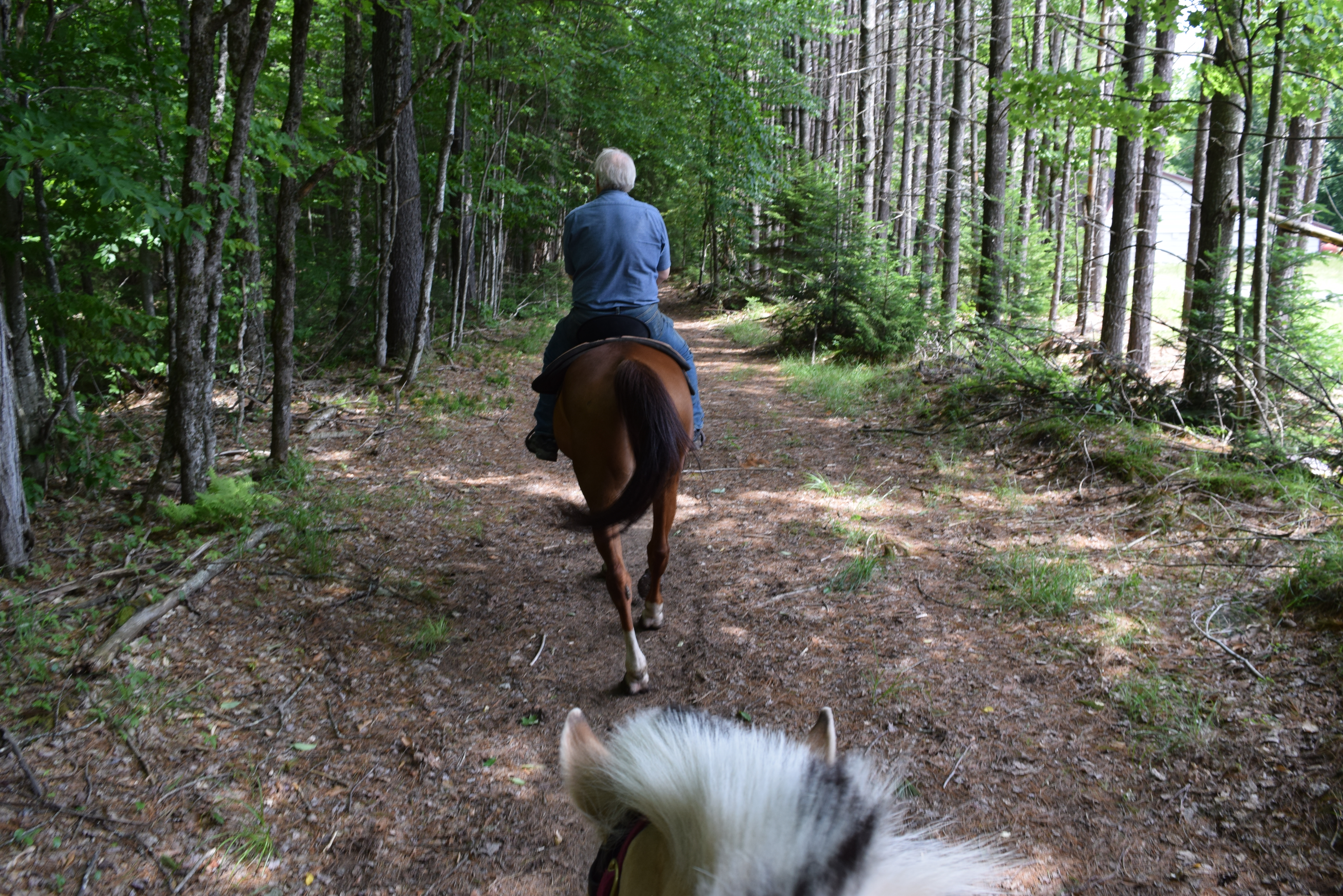 Adirondack Saddle Tours Inlet