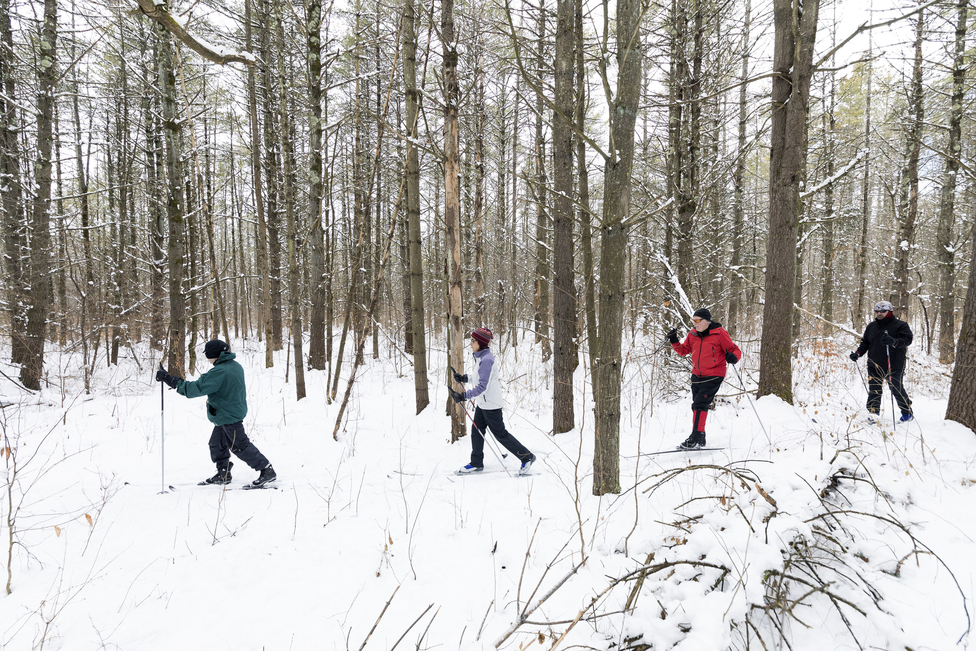 a group xc skiing through the woods