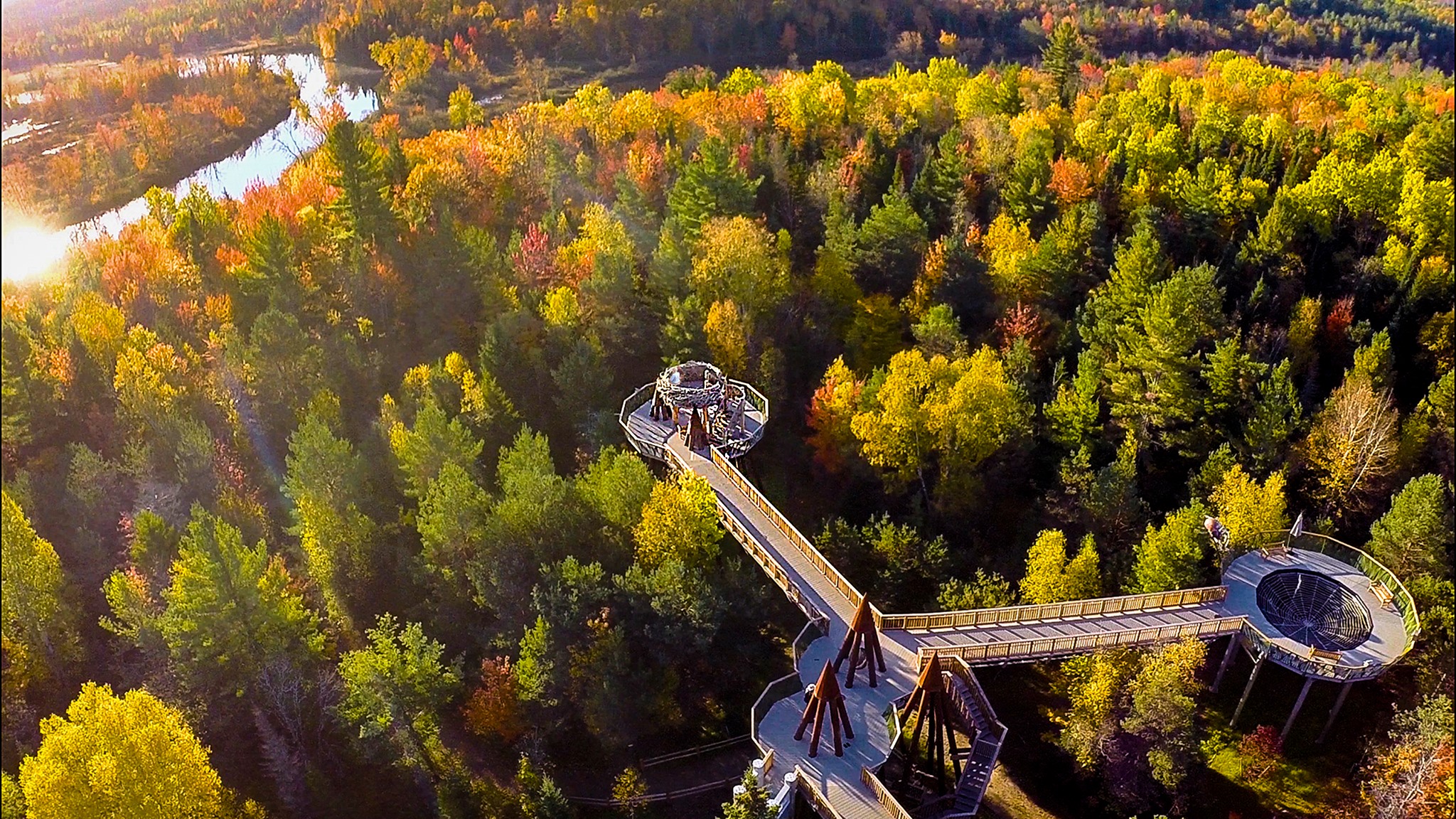 an aerial view of the wild walk exhibit.