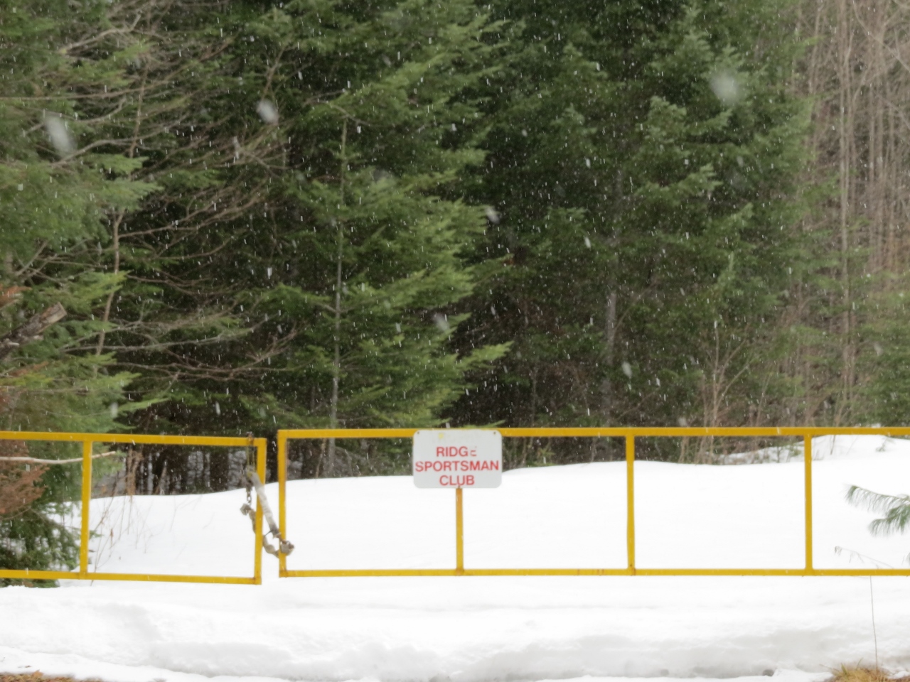 Gate at the Round Pond Road Trailhead