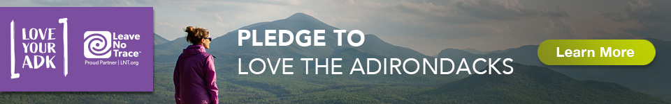 Love Your ADK Pledge Banner