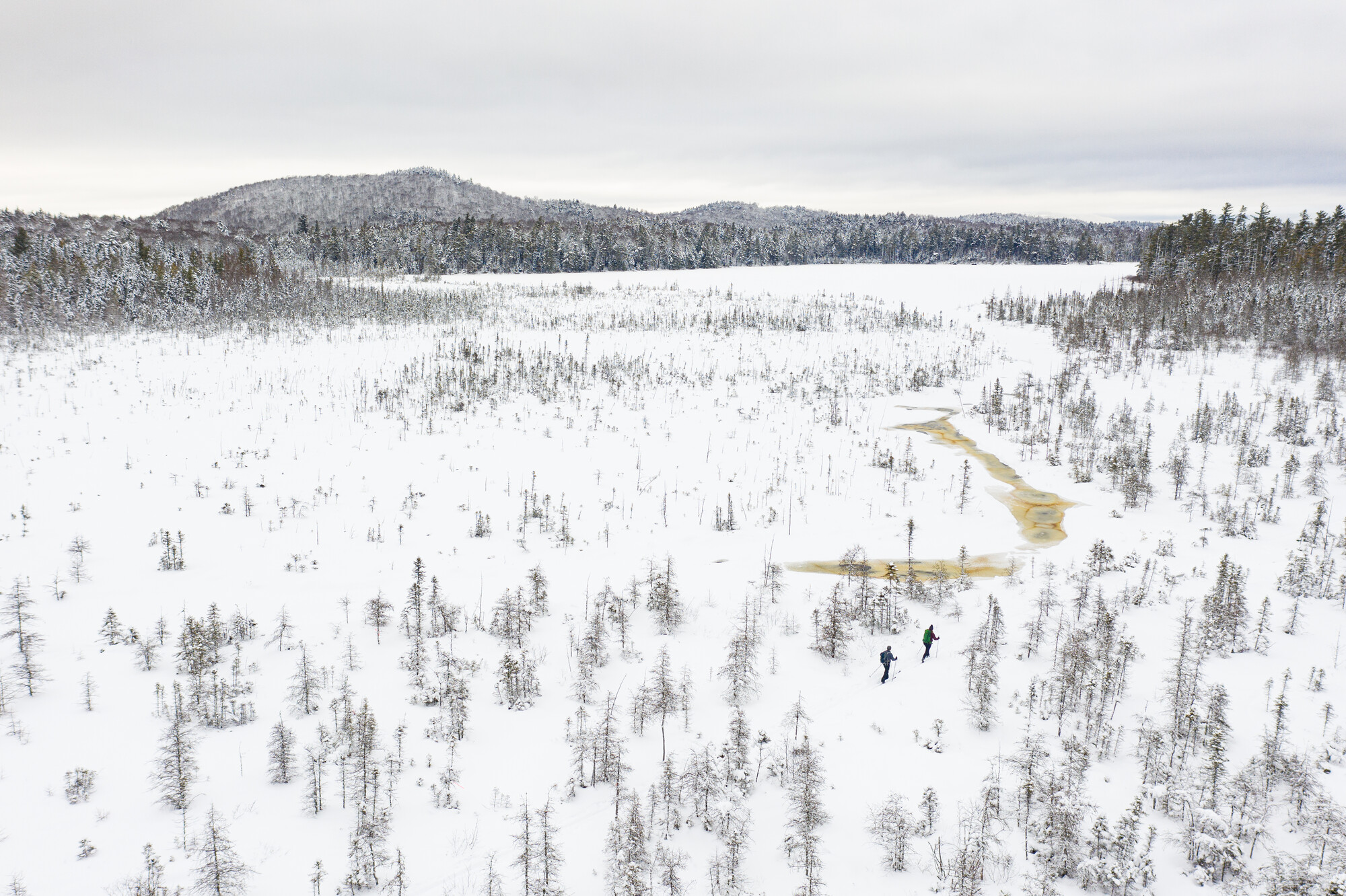 A barren field in winter covered in snow.