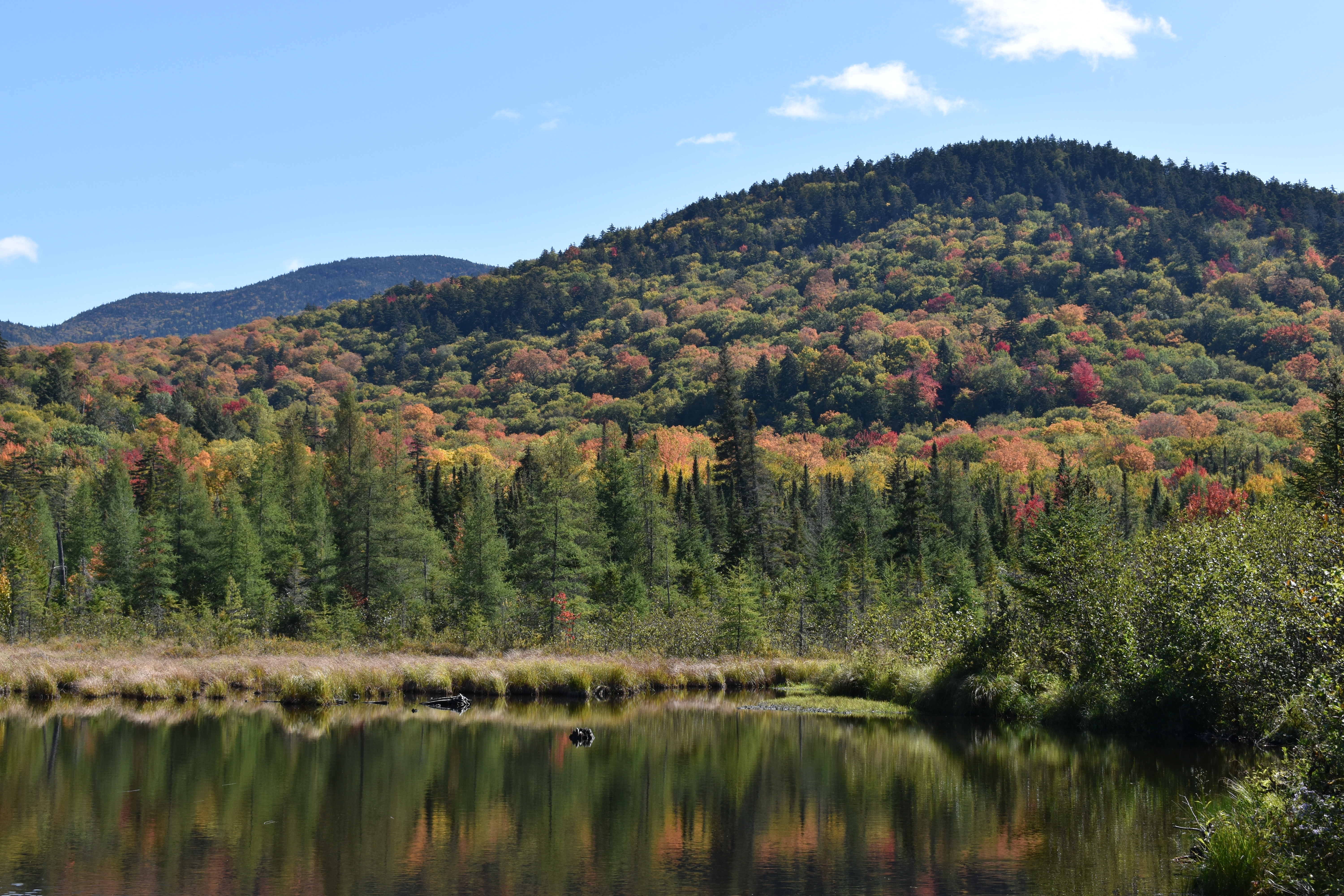 A fall view of a pond with the colorful trees reflected in the calm waters.
