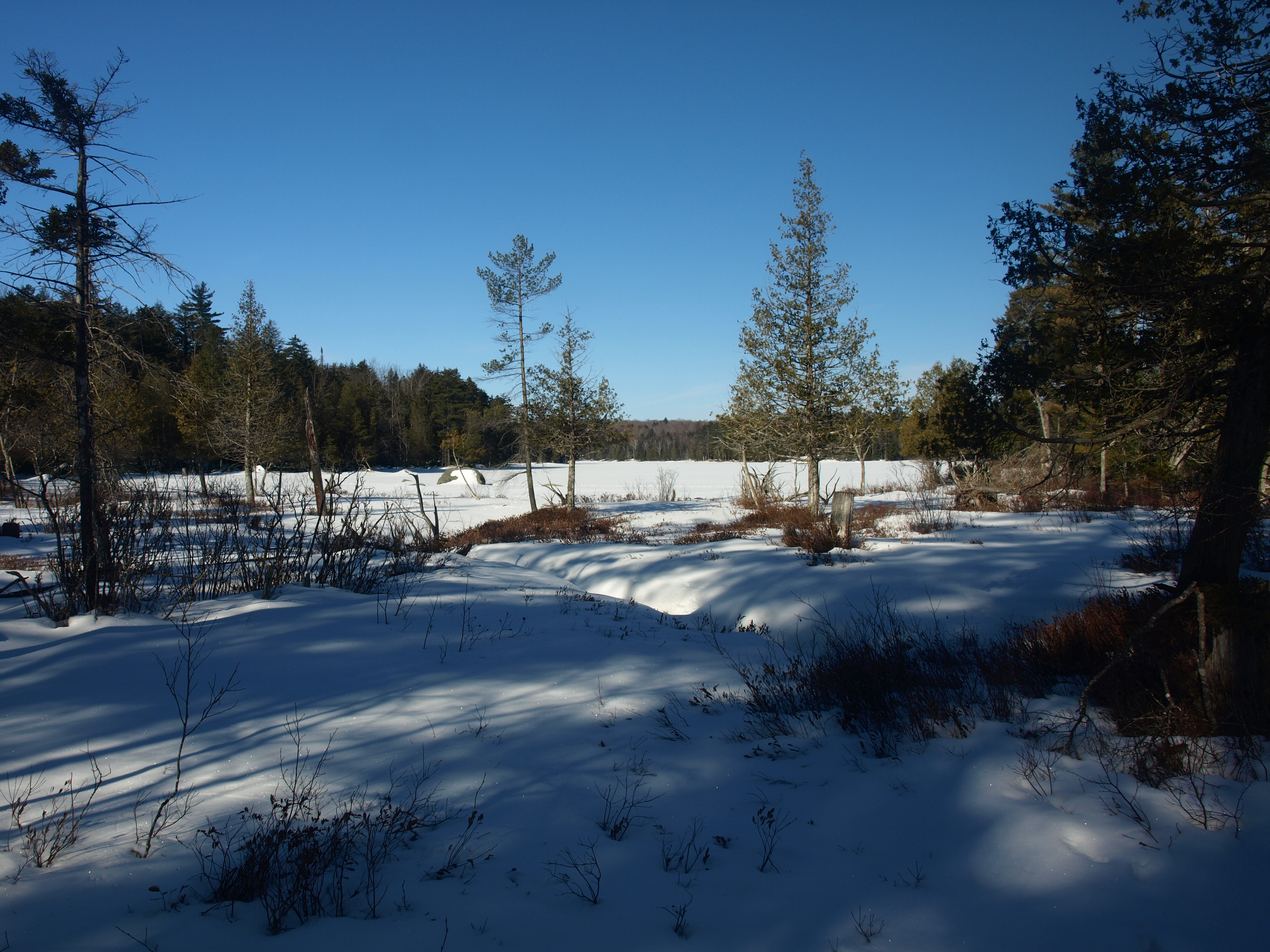 Raquette Lake