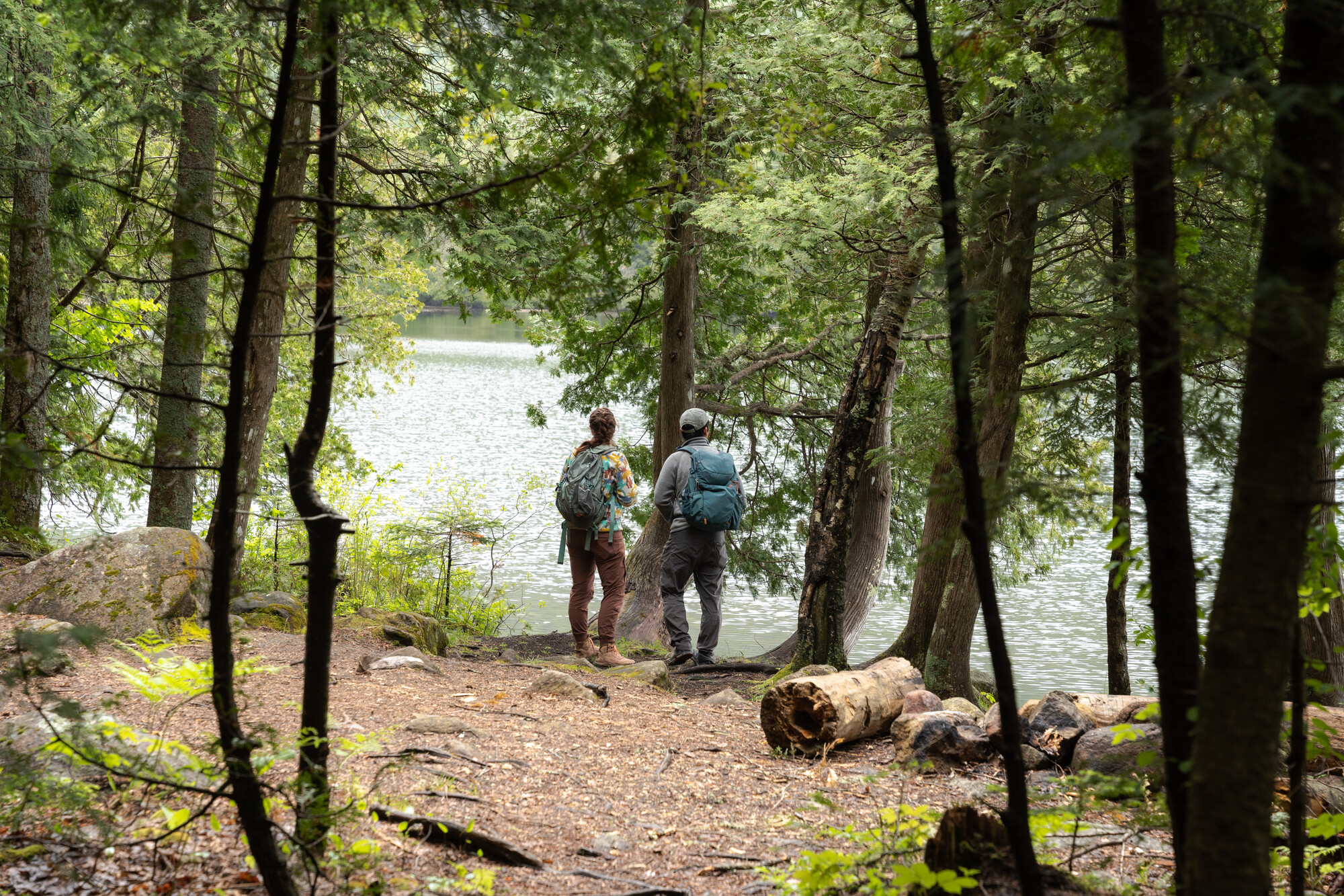 Two people stand on tree-lined shore of pond