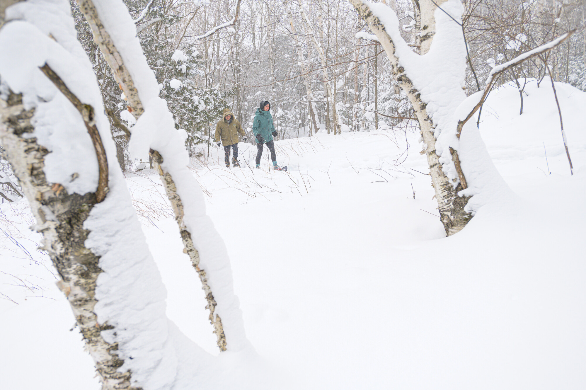A couple snowshoes through a winter wonderland snowy forest