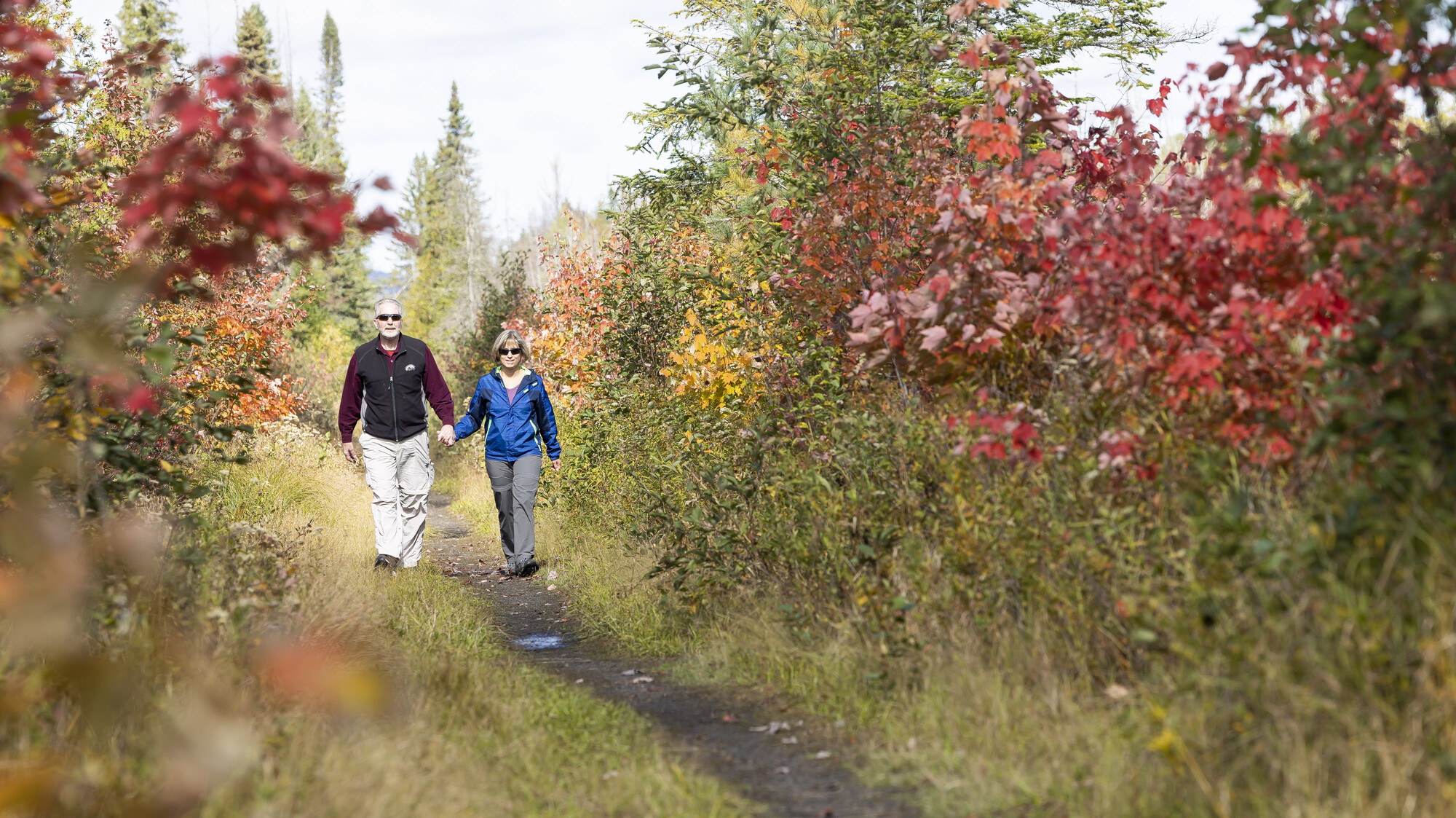 A couple walking down the Bloomingdale Bog Trail with fall scenery.