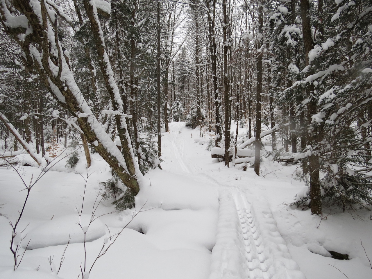 Steep hill down to a brook crossing