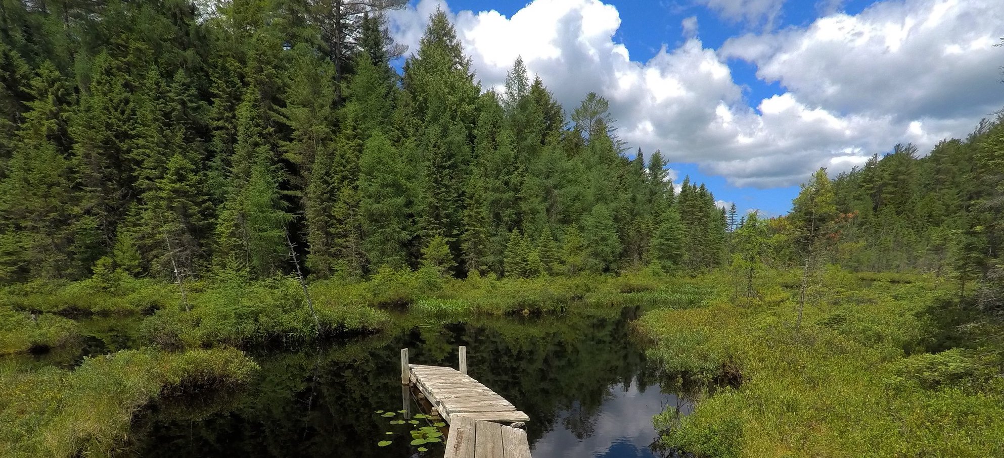 The dock on St. Regis Pond A dock on a calm waterway with green trees