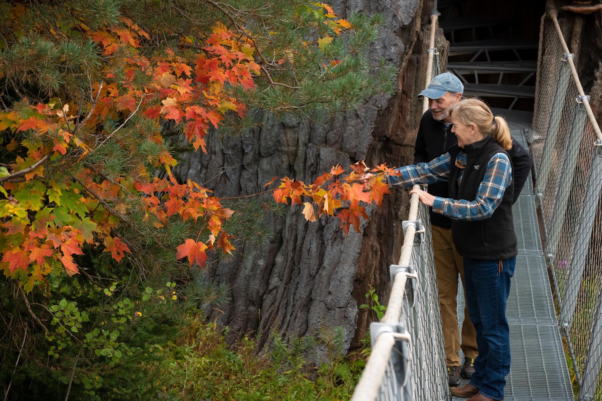 A couple stands on a bridge in the brilliant autumn foliate at The Wild Center