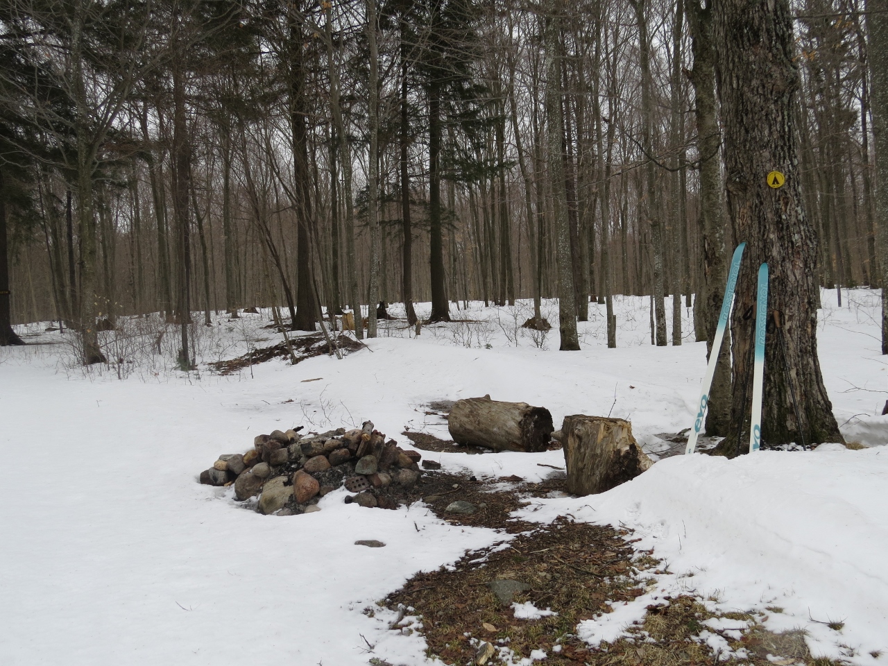 Campsite on the shore of Round Lake