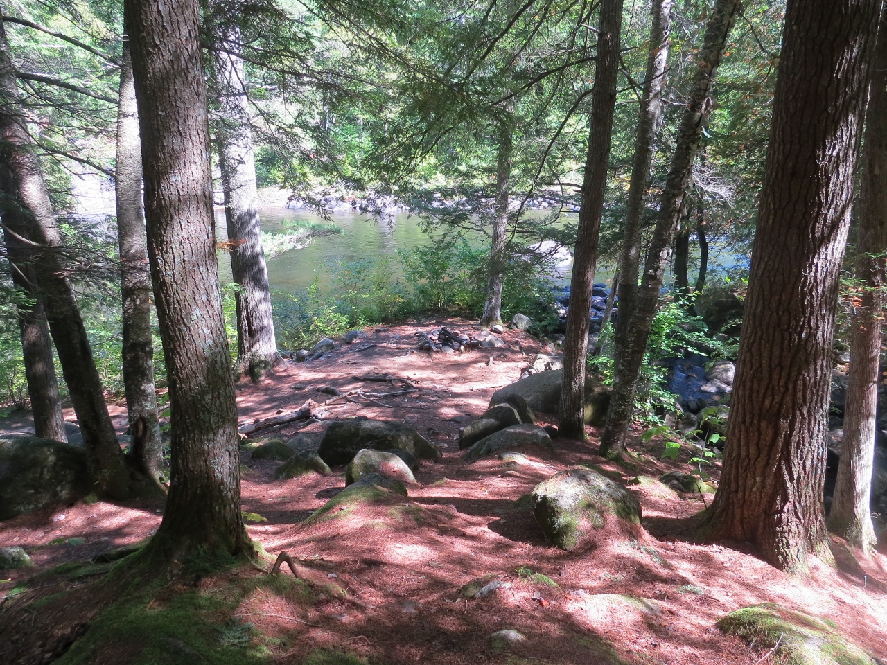 OK Slip Falls near Hudson River