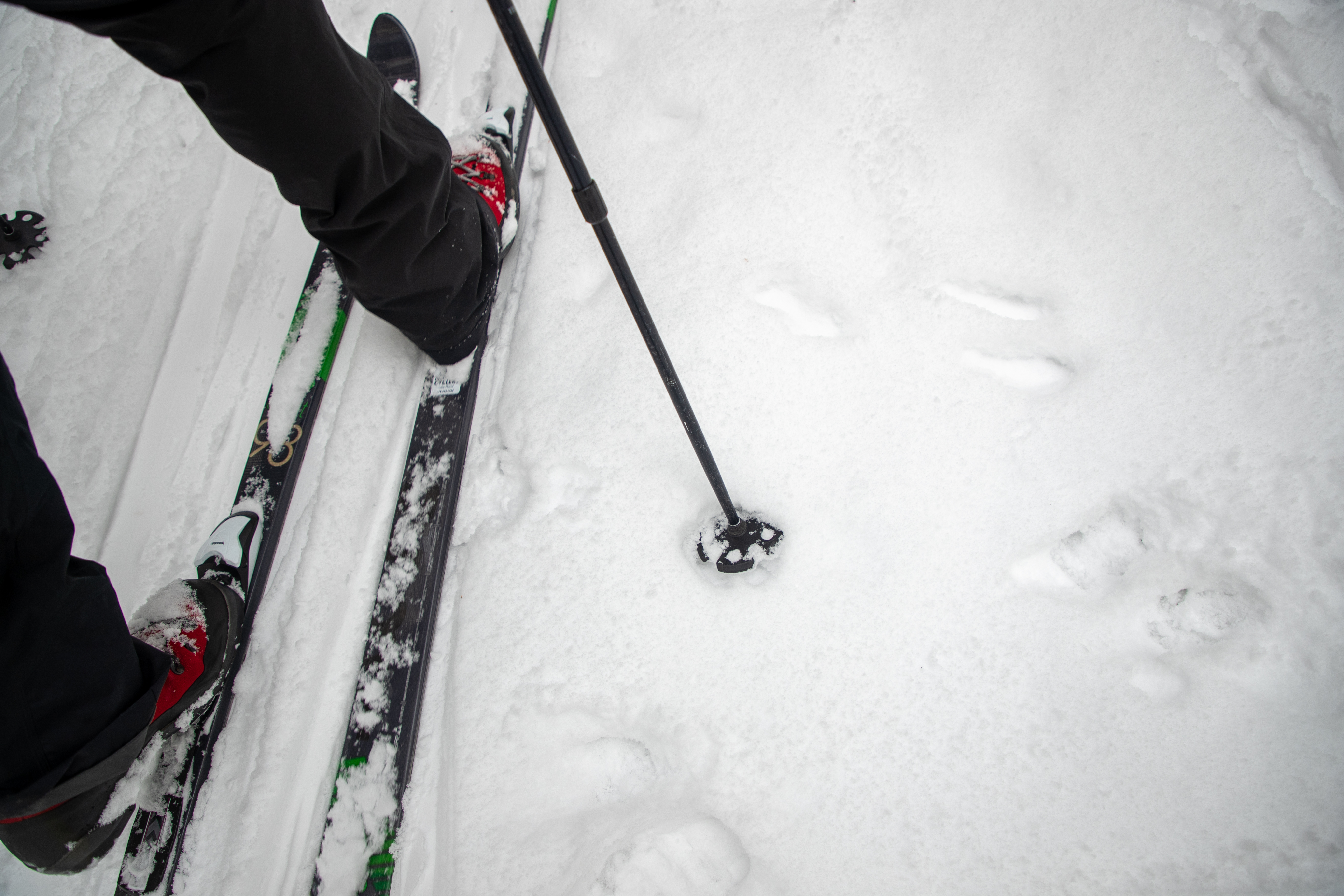 Cross-country skiers are having fun on the fresh snow!