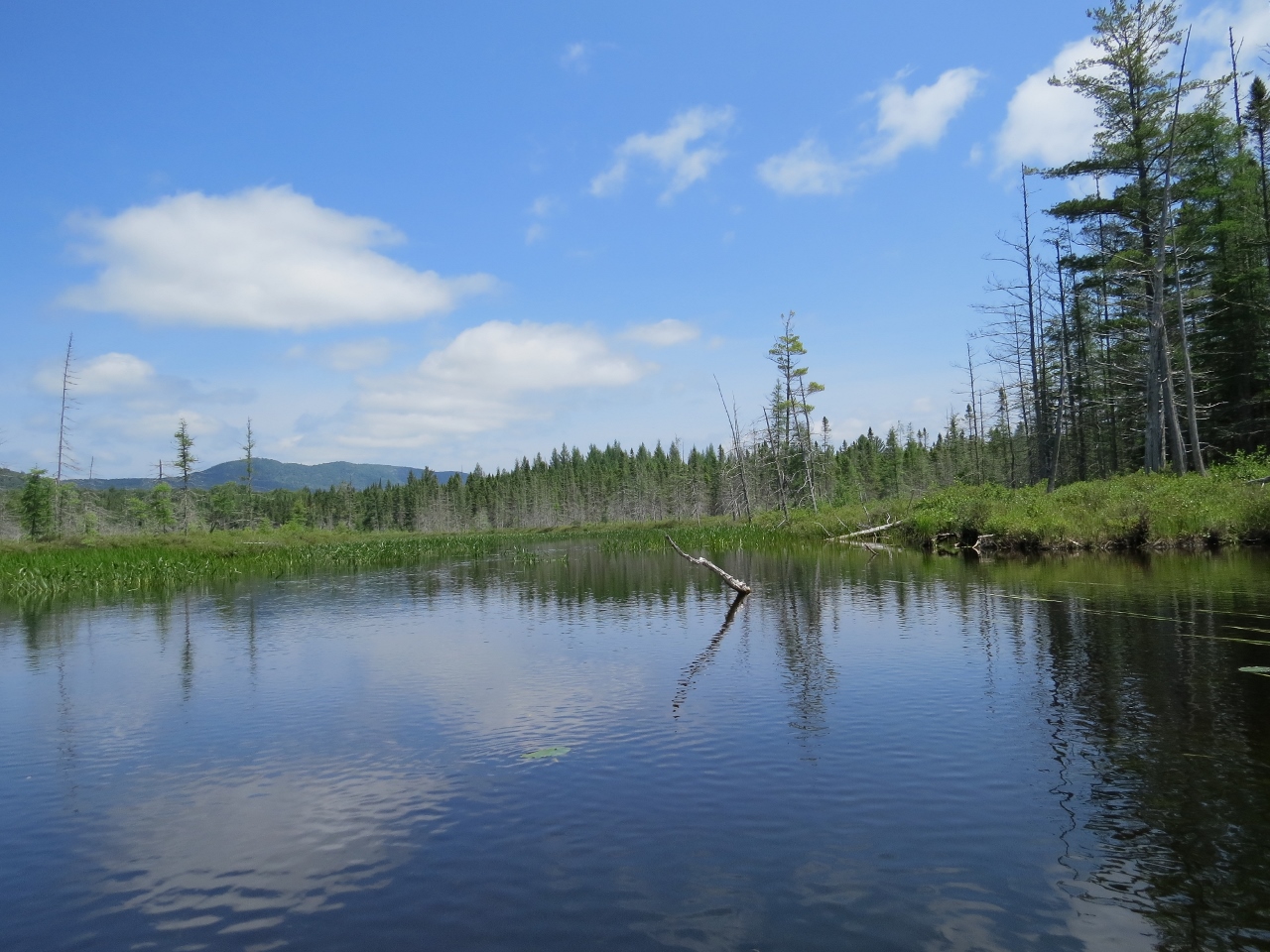 Paddling the inlet of Mud Pond at Cedarlands