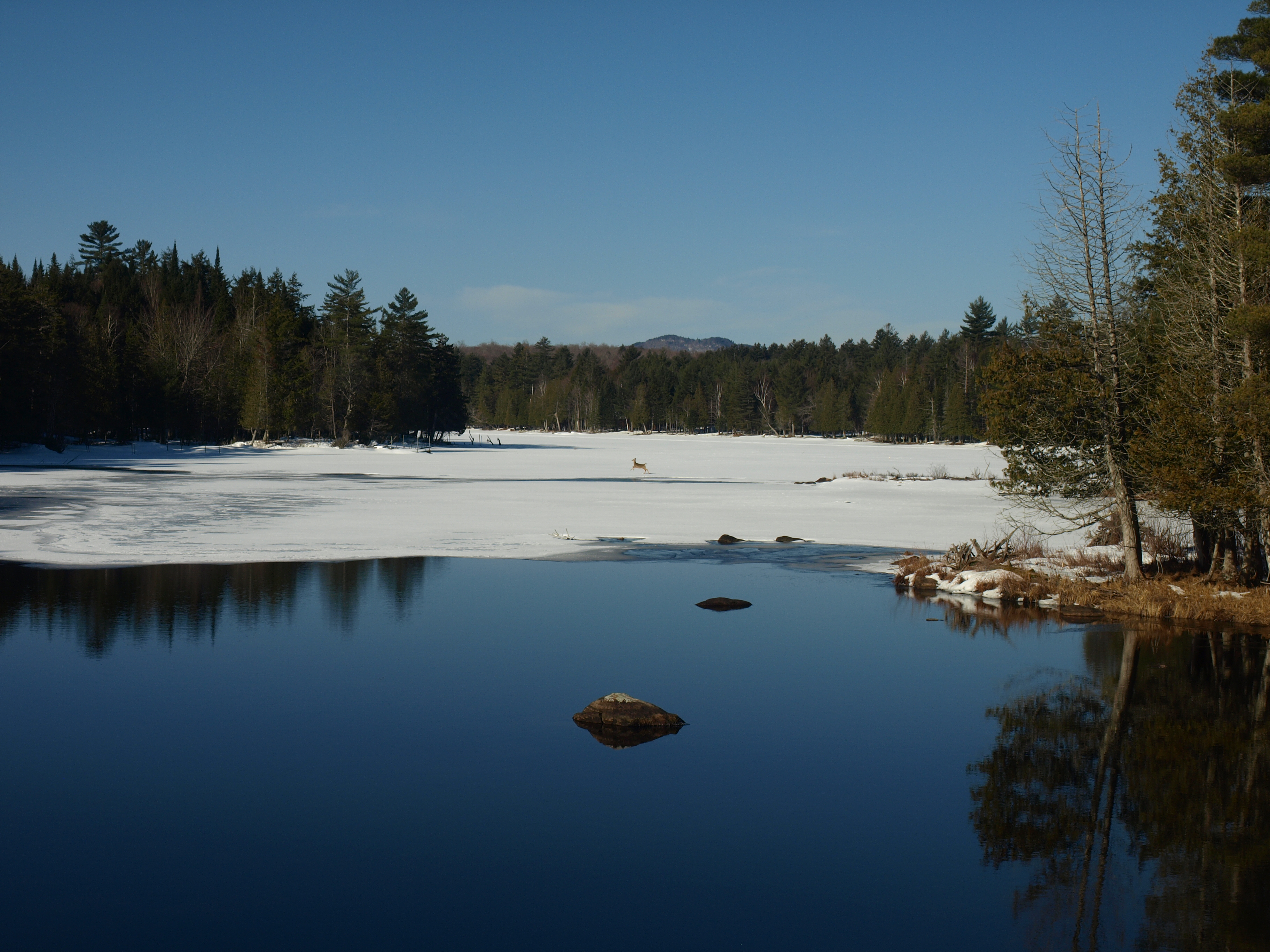 Ice crossing