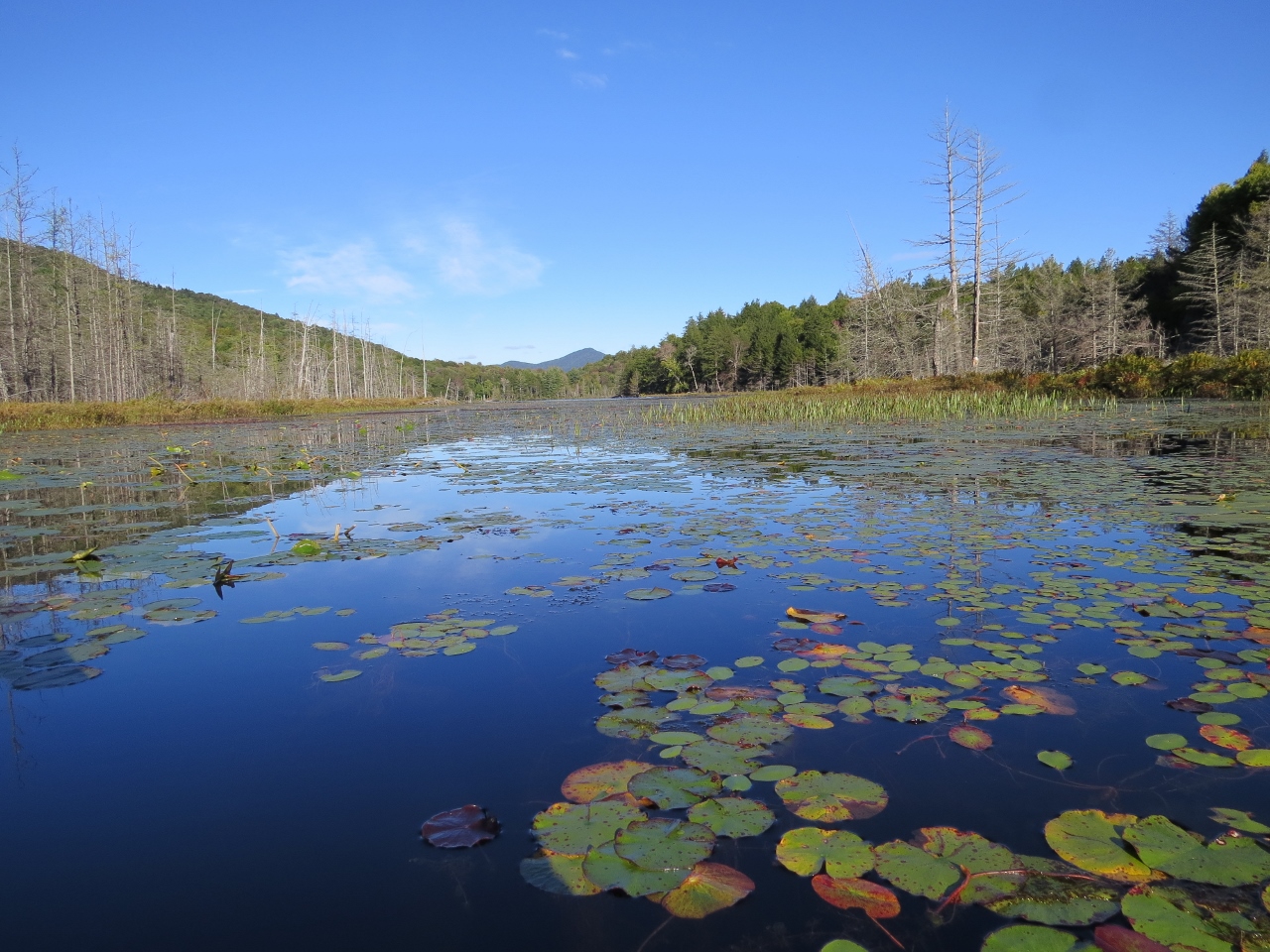 Essex Chain Lakes, Fifth to Sixth Lake