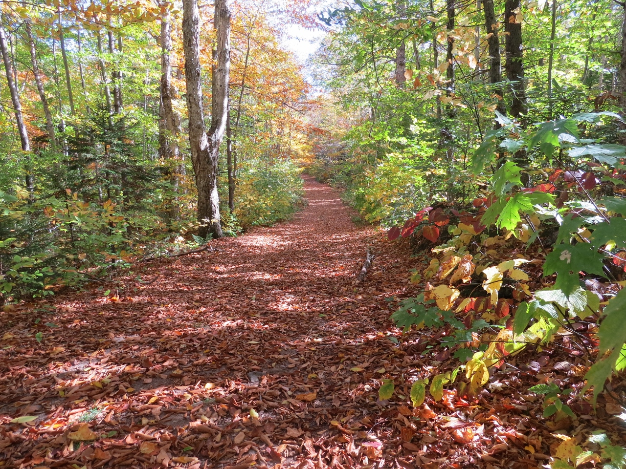 Lake Lila Trail to Frederica Mountain