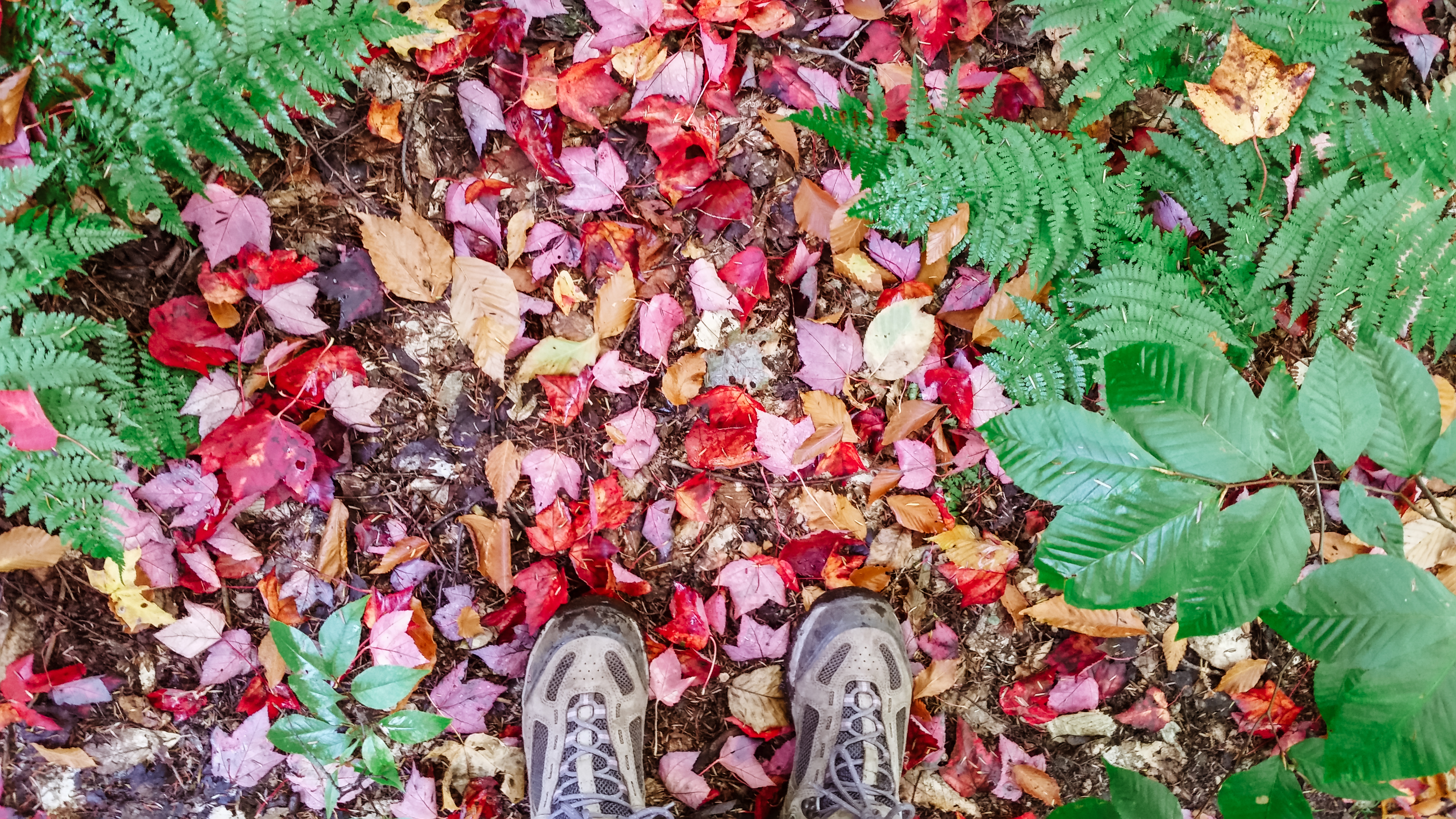 Hiking in boots through the fall leaves.