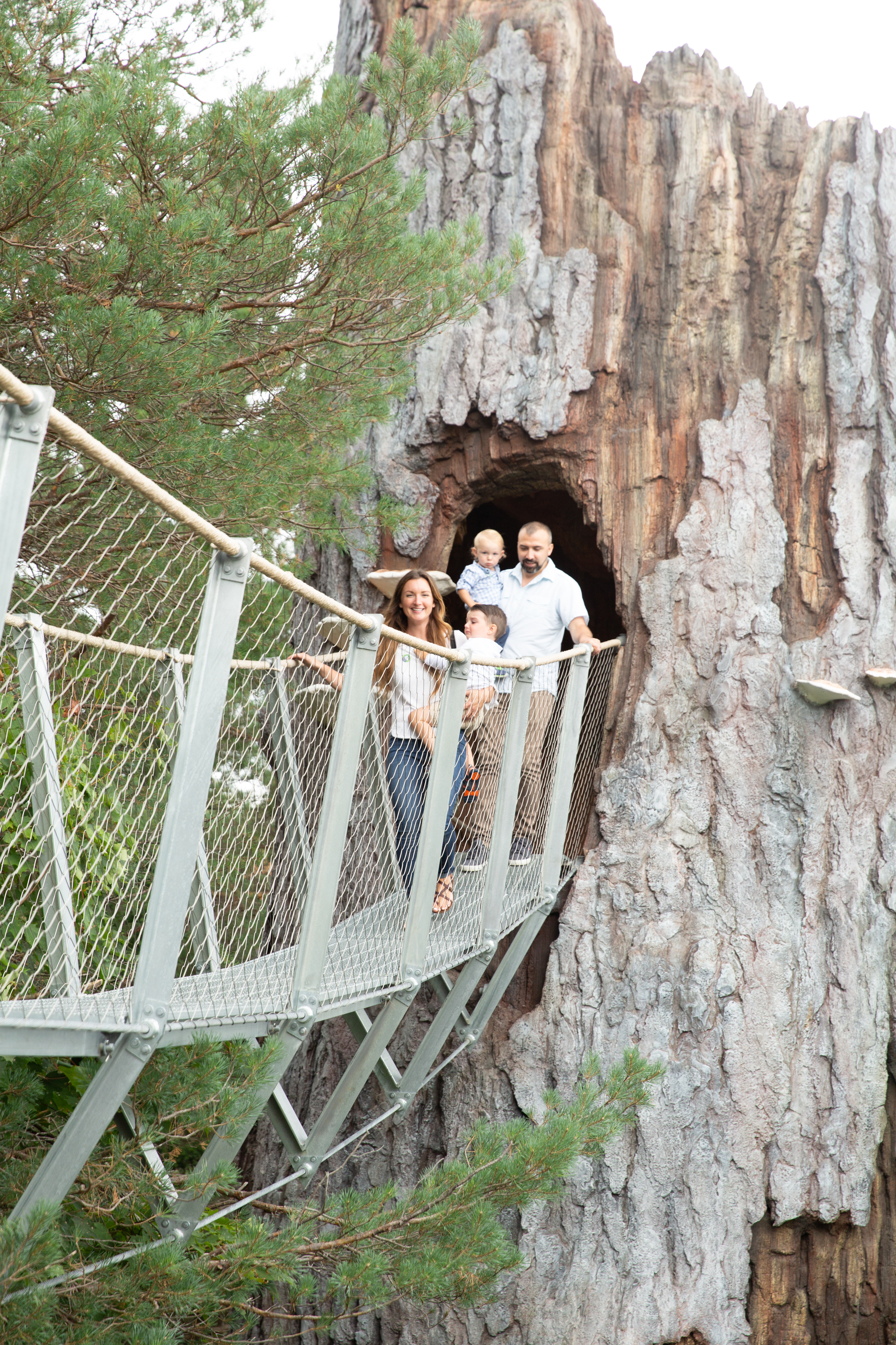 Exploring the suspended bridges on the Wild Walk