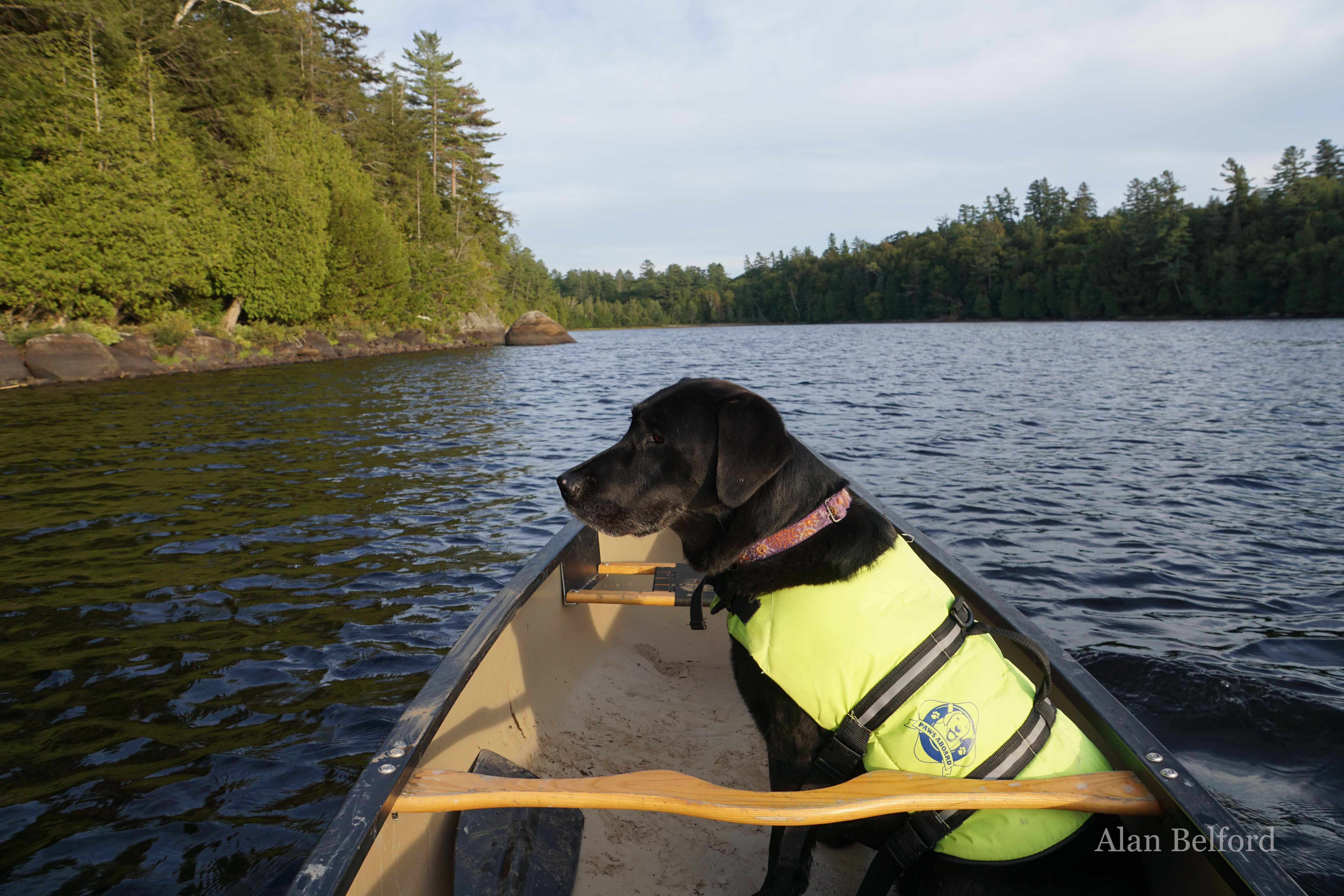 Wren and I admired the beauty of the shoreline as we went.