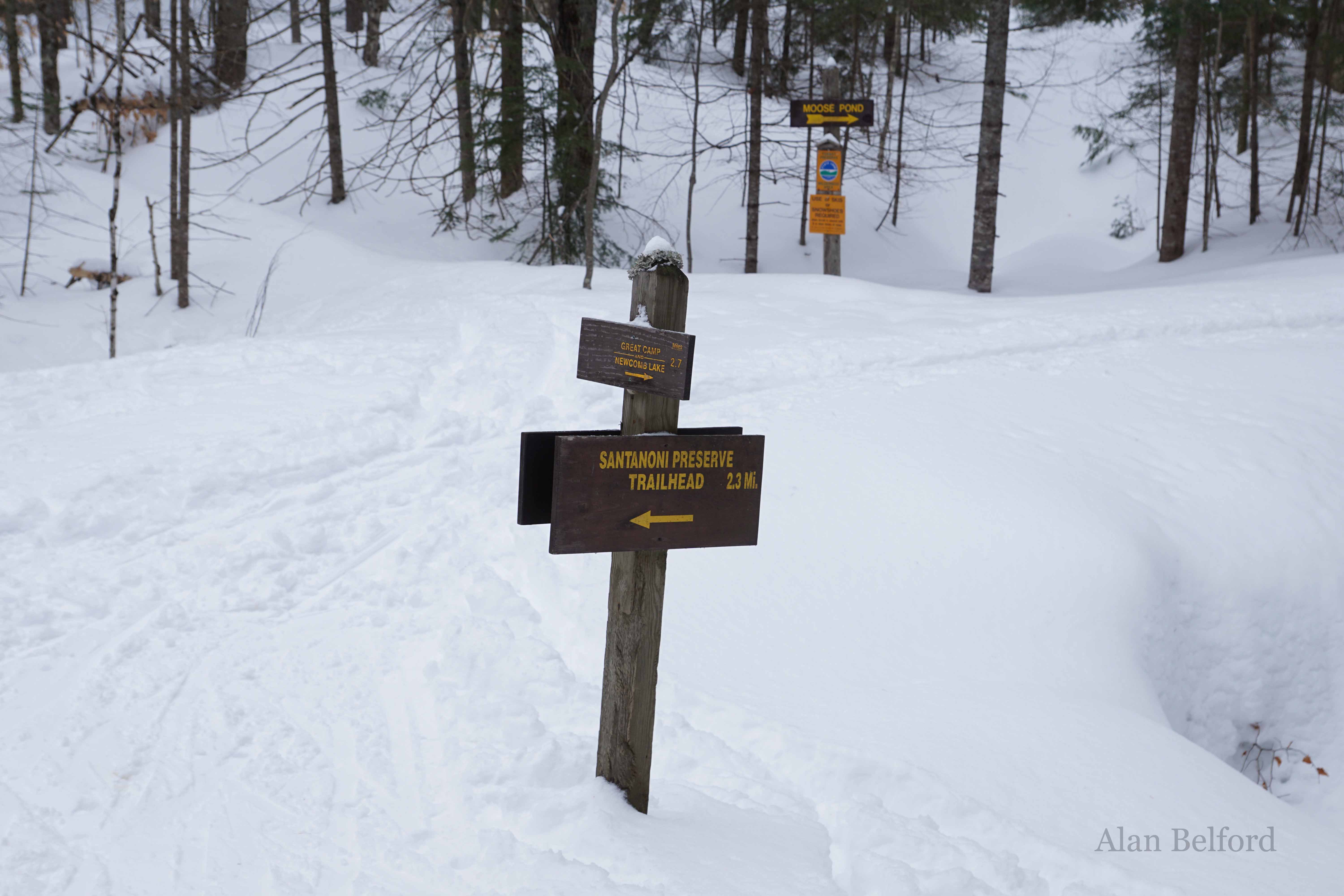 A few trail junctions along the route give skiers, hikers, and snowshoers additional exploration options.