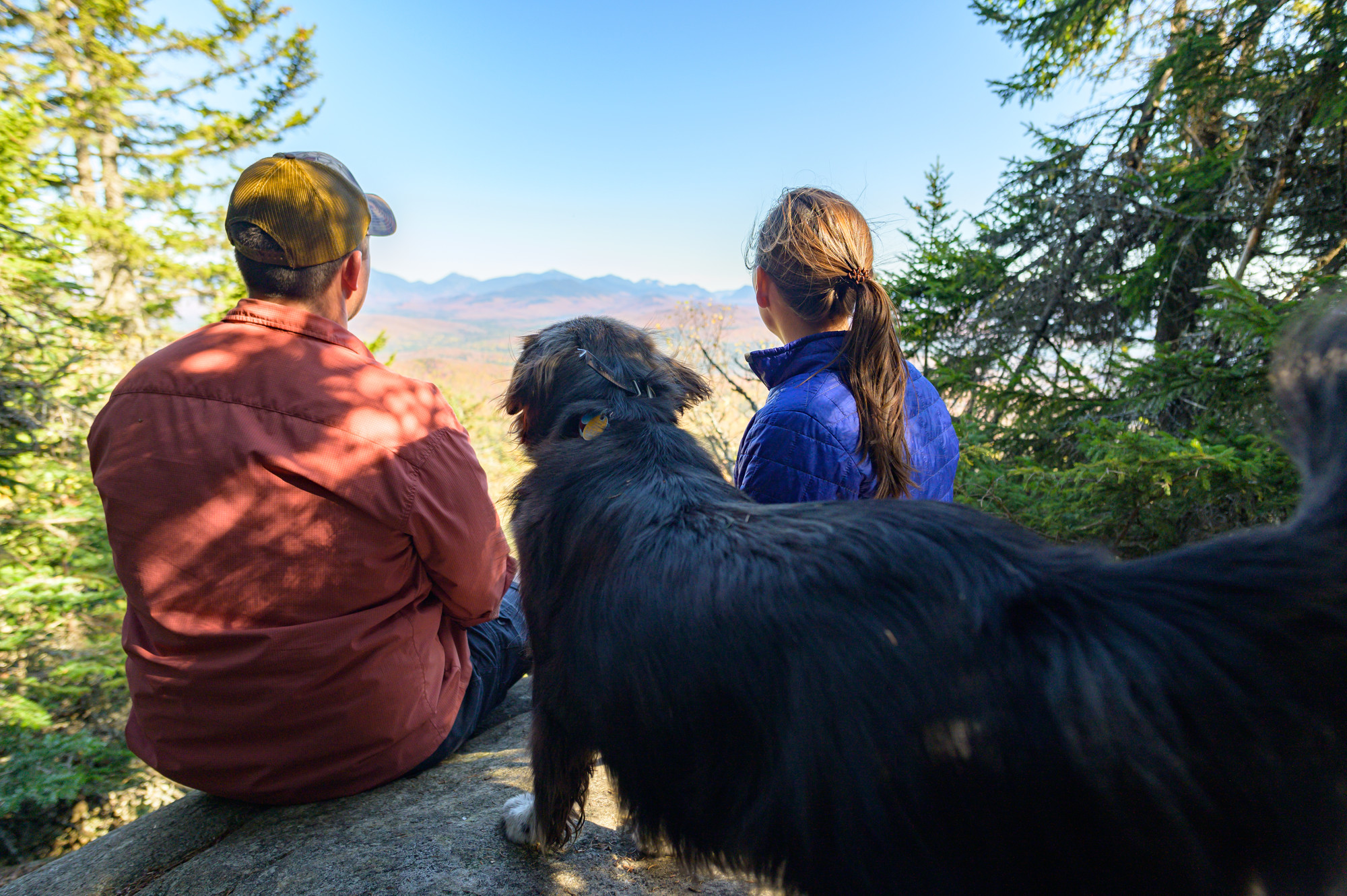 A couple enjoying the view with their dog