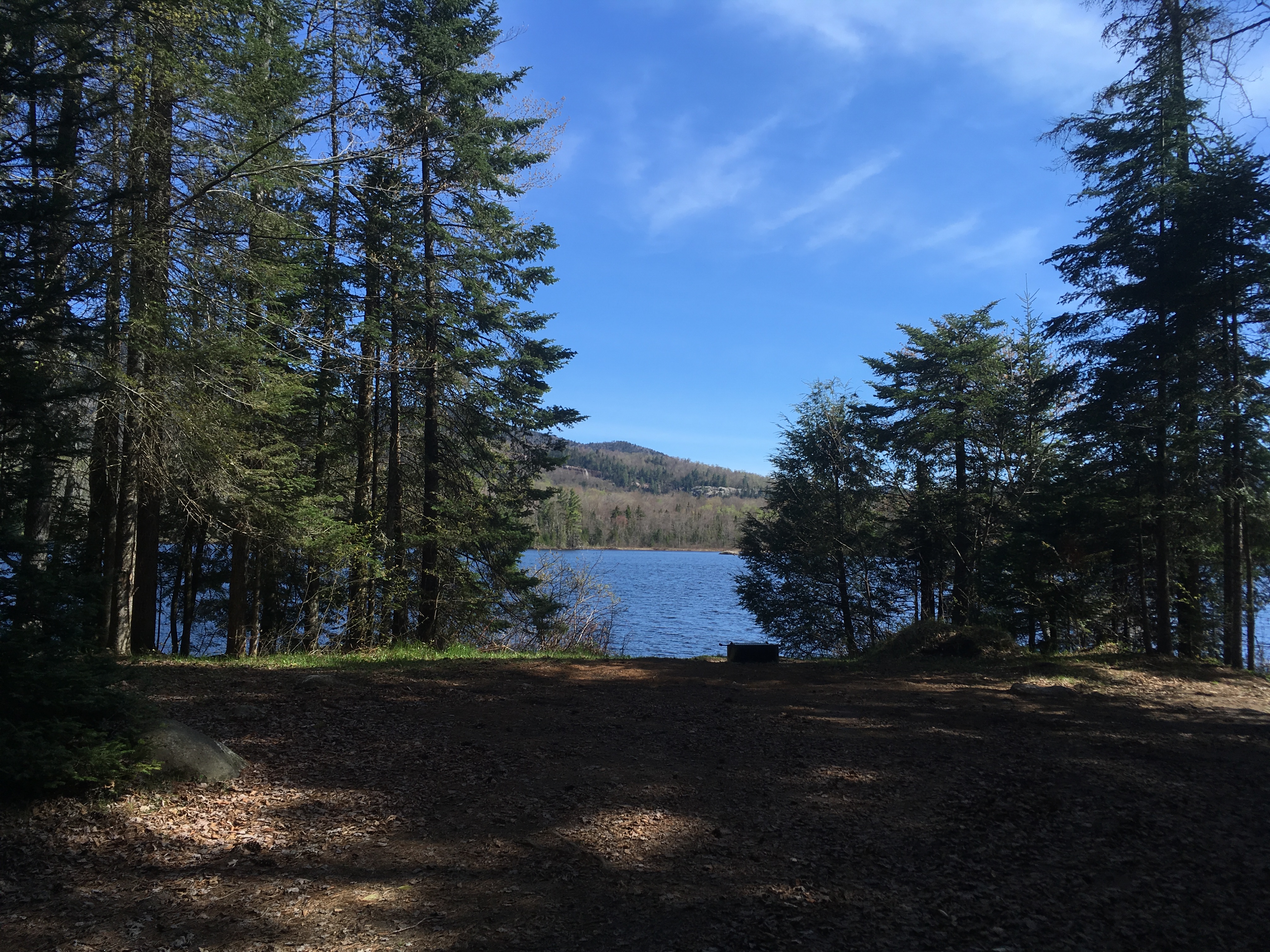 An open campsite in the spring time surrounded by barren trees leading into the lake. 