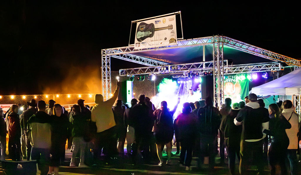 A bunch of people at an outdoor concert.