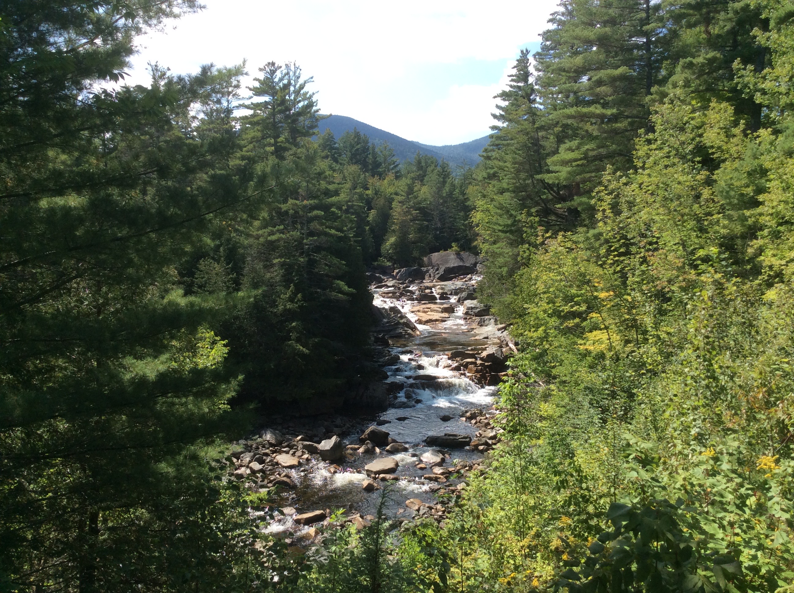 See the falls through the trees before you even get out of the car.